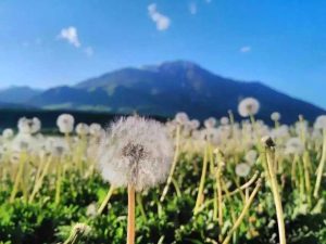 那拉提2月底旅游_那拉提两日游攻略