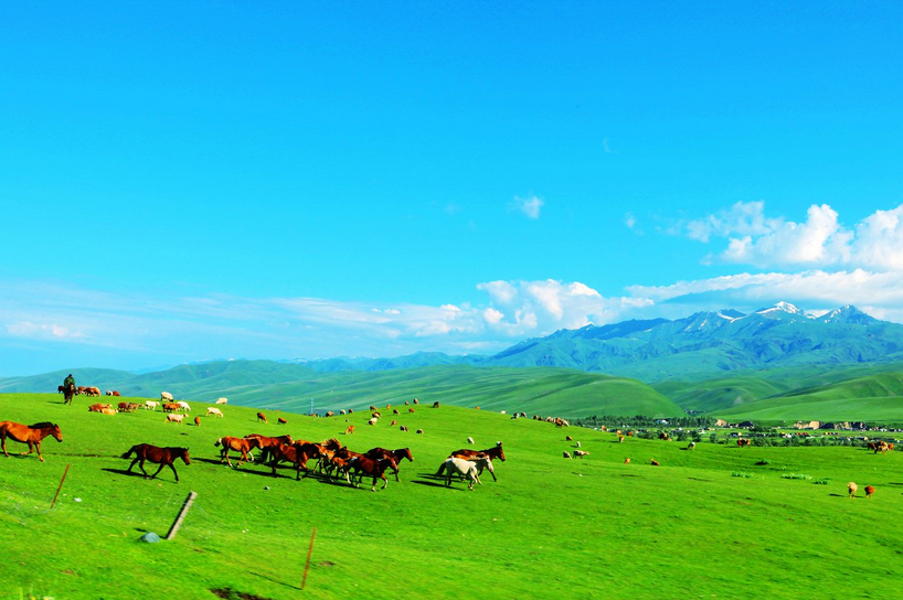 那拉提旅游环境_那拉提旅游环境怎么样