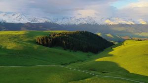 组团到伊犁旅游团_组团到伊犁旅游团多少钱