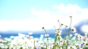 组团到新疆旅游费用_组团到新疆旅游费用多少