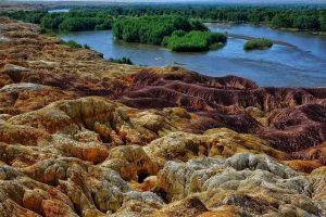 组团到伊犁旅游费用_组团到伊犁旅游费用多少