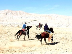 组团到新疆北疆旅游_新疆北旅游路线