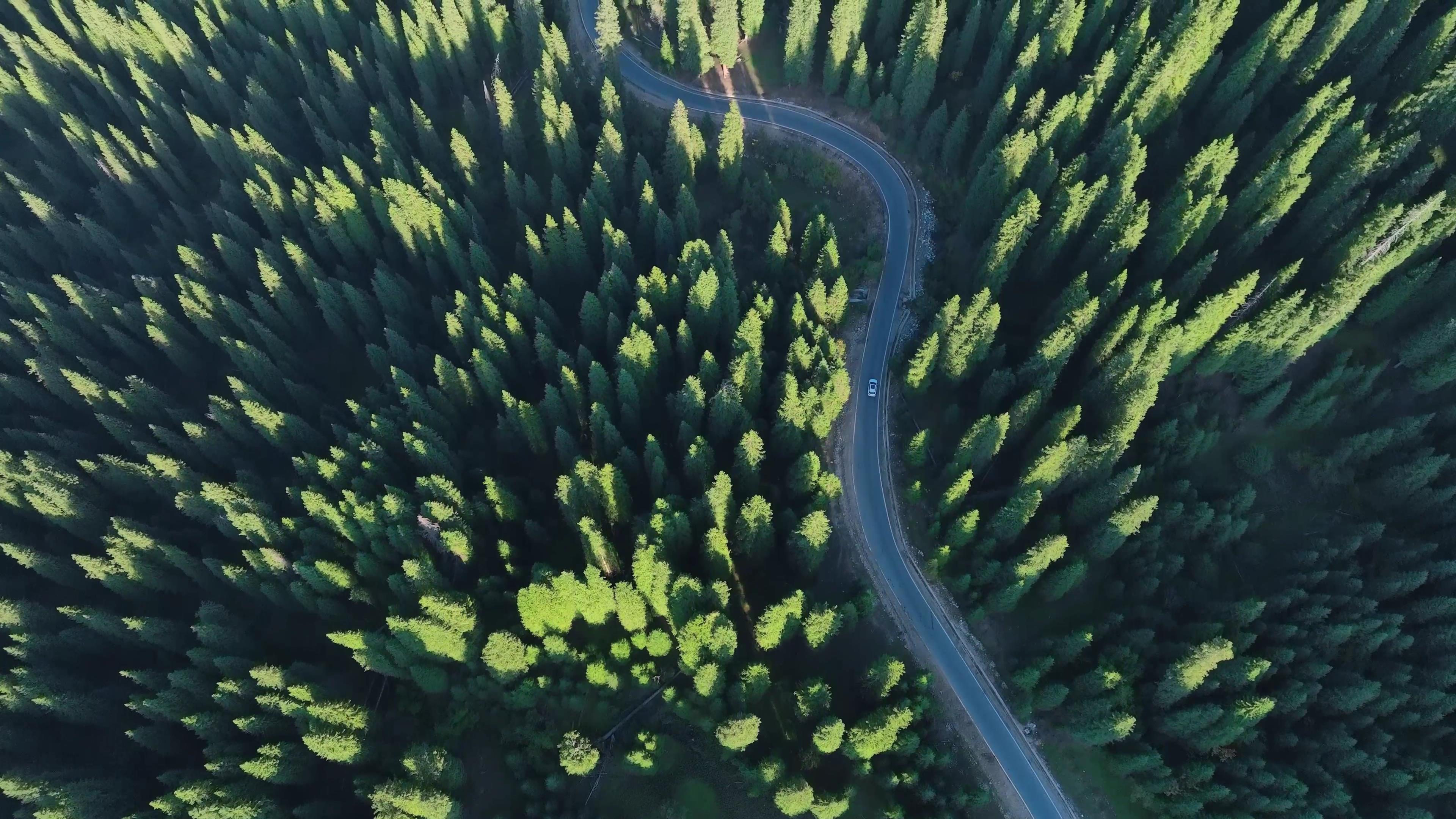 新疆特种旅游_新疆特种旅游节