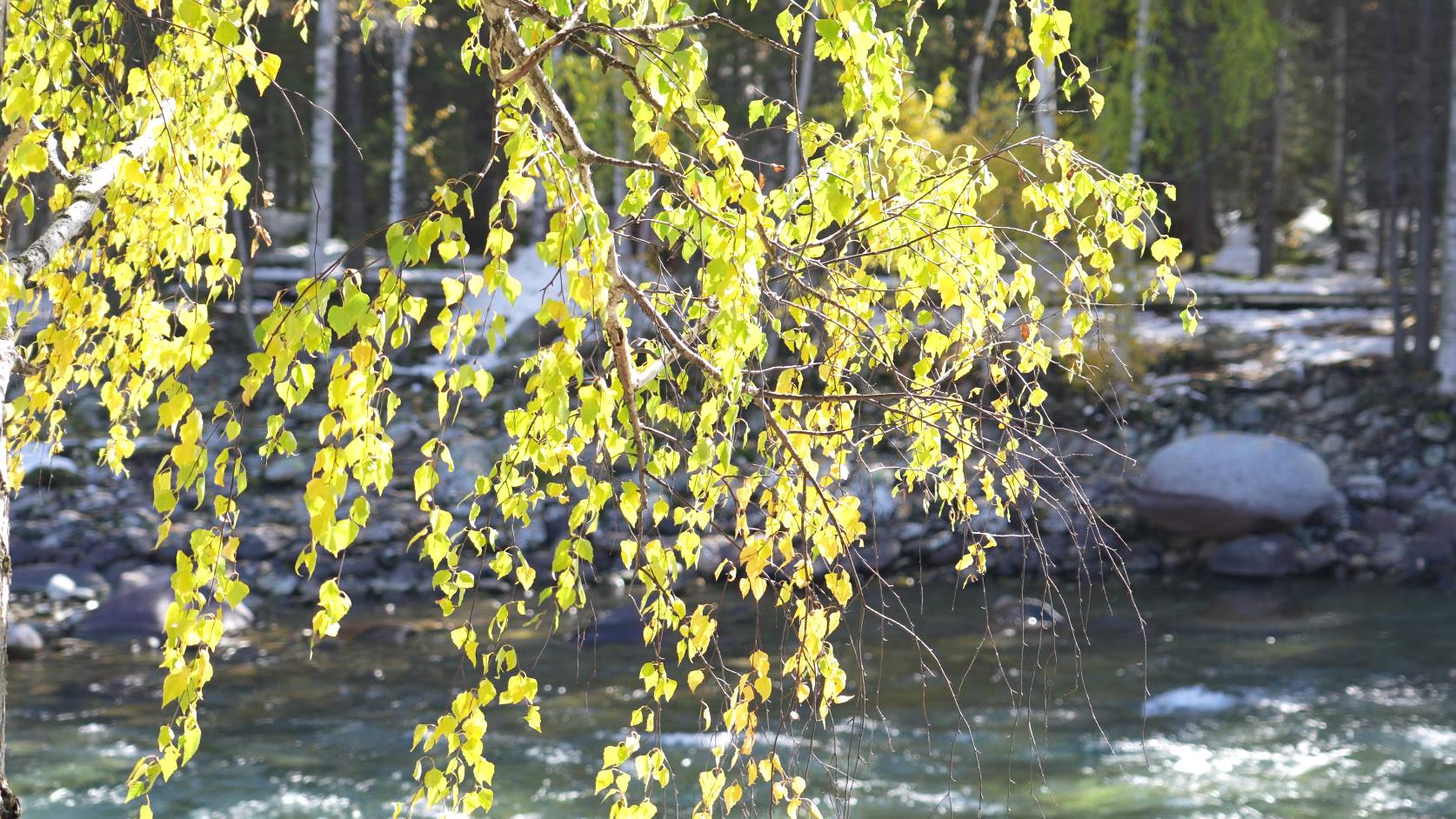 那拉提八月底旅游_那拉提旅游季节