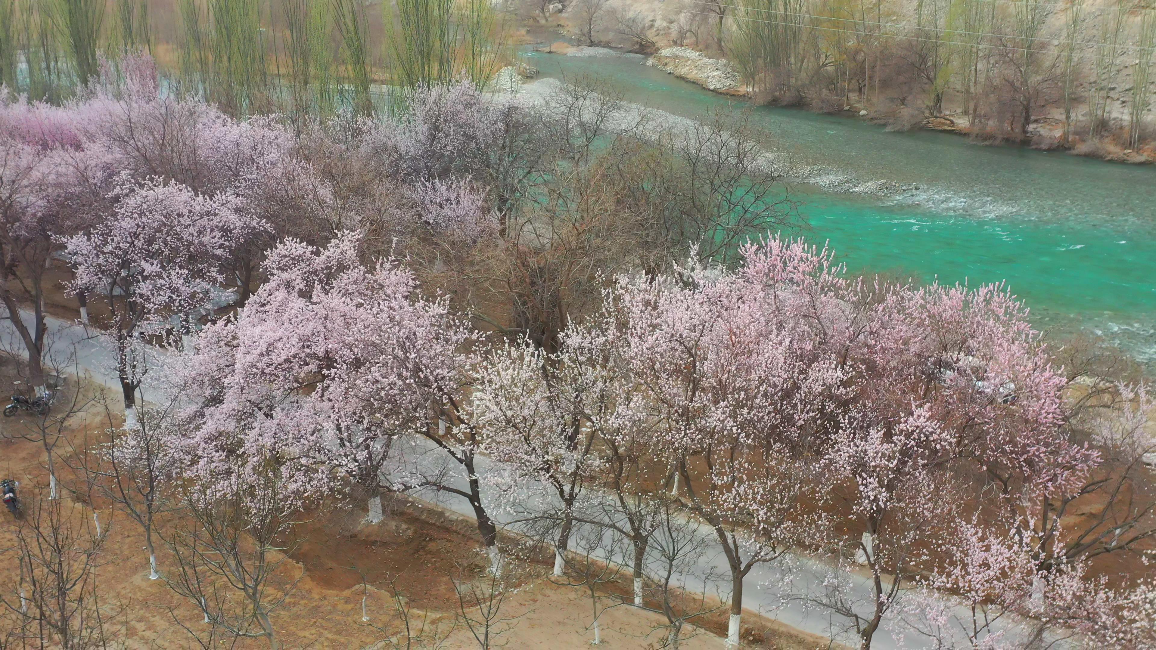 重庆出发新疆旅游_重庆去新疆旅游