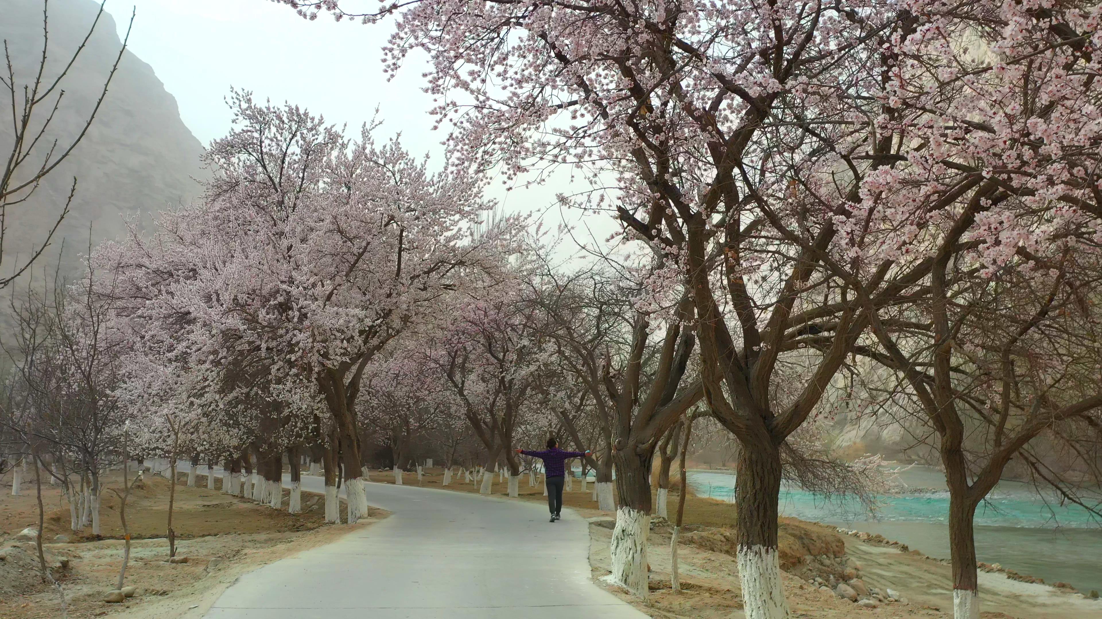 盐城 新疆旅游_盐城新疆旅游