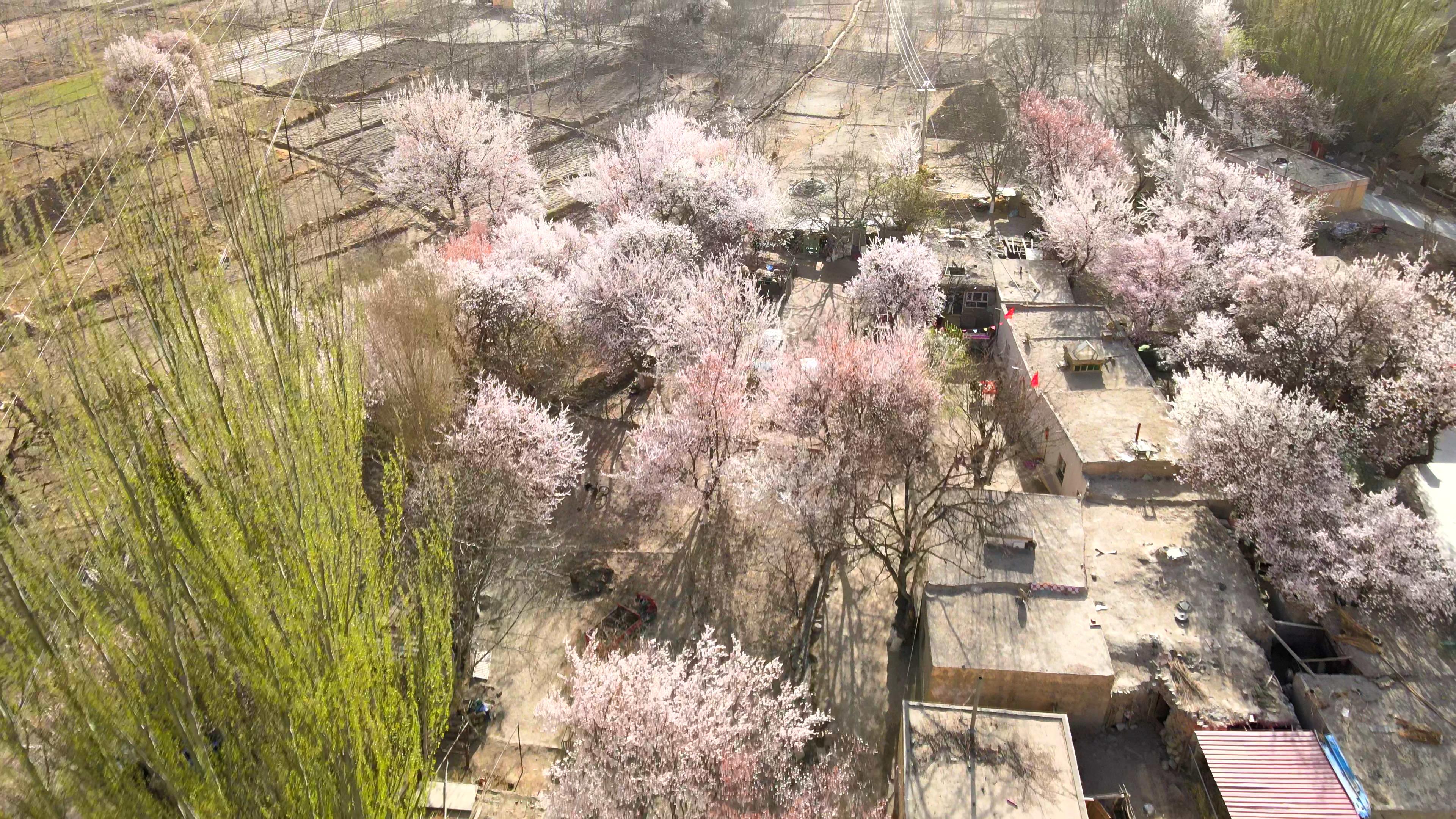 新疆的夏天适合旅游吗_新疆的夏天适合旅游吗现在