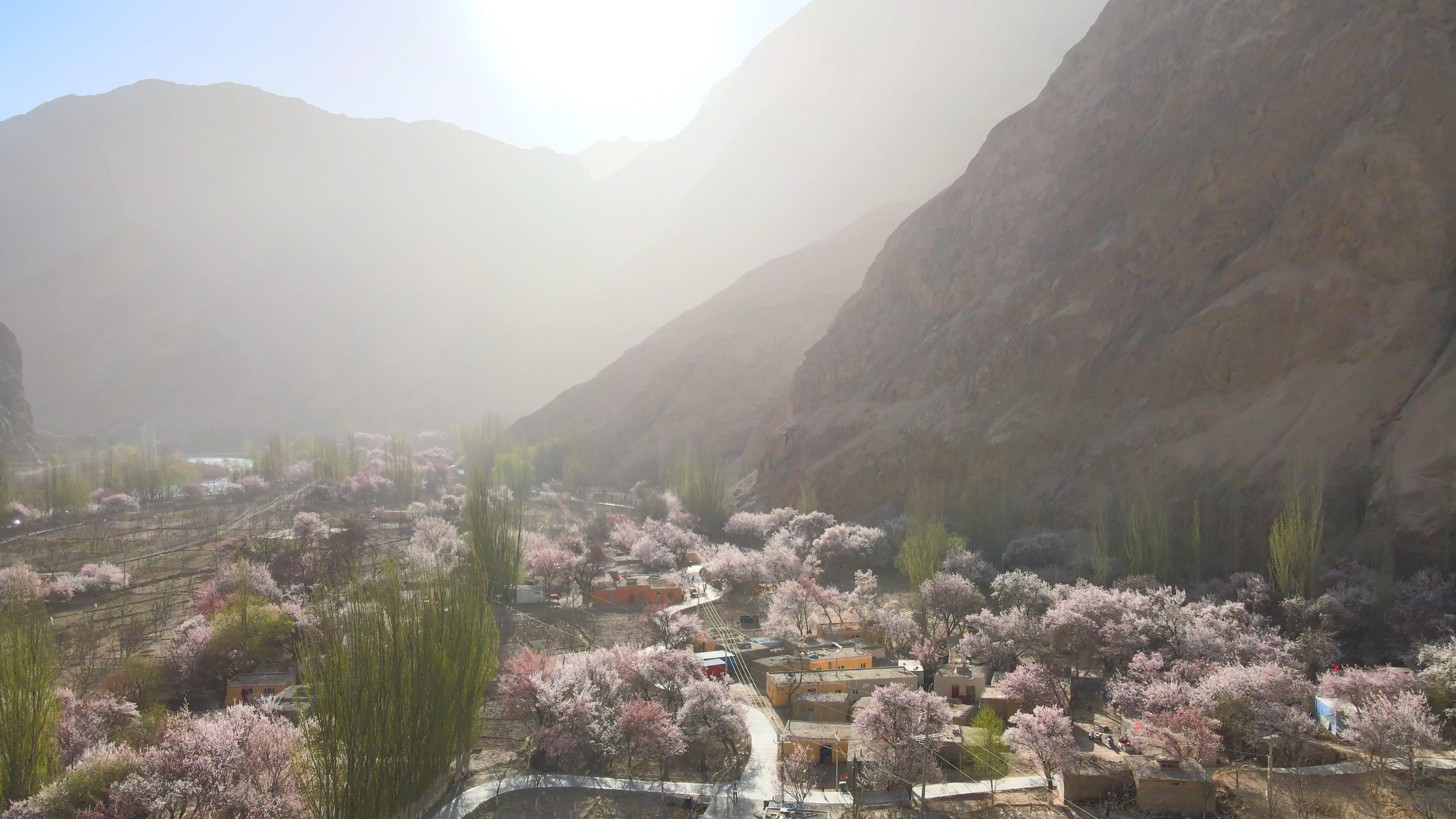 那拉提旅行夏季多少钱_那拉提旅行夏季多少钱一天