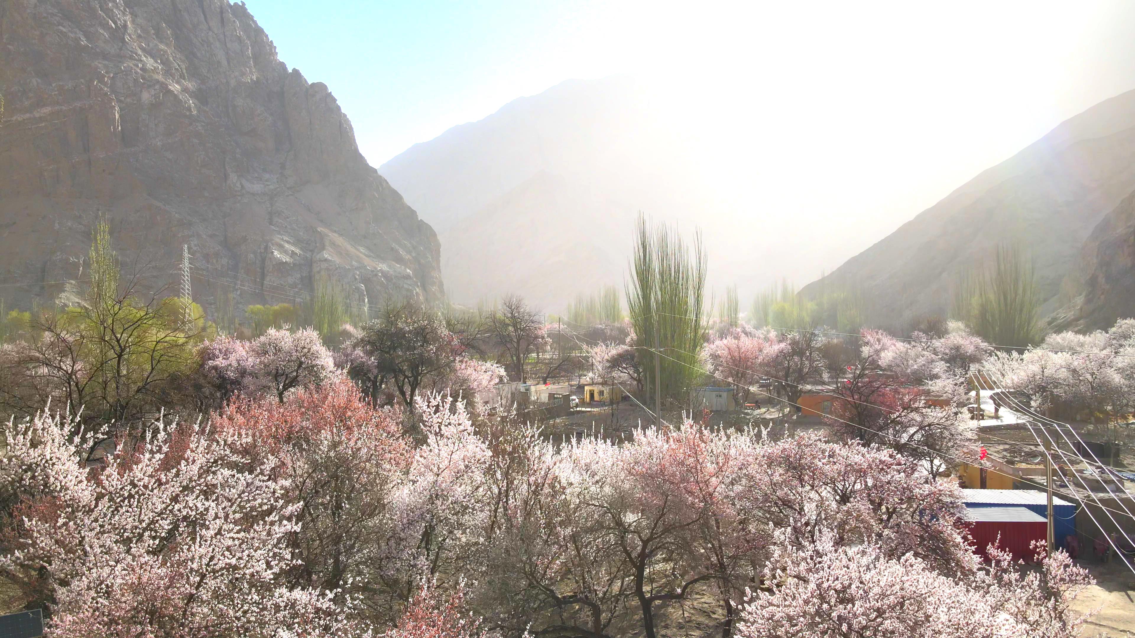 现在可以来新疆旅游吗_现在可以来新疆旅游吗最新消息