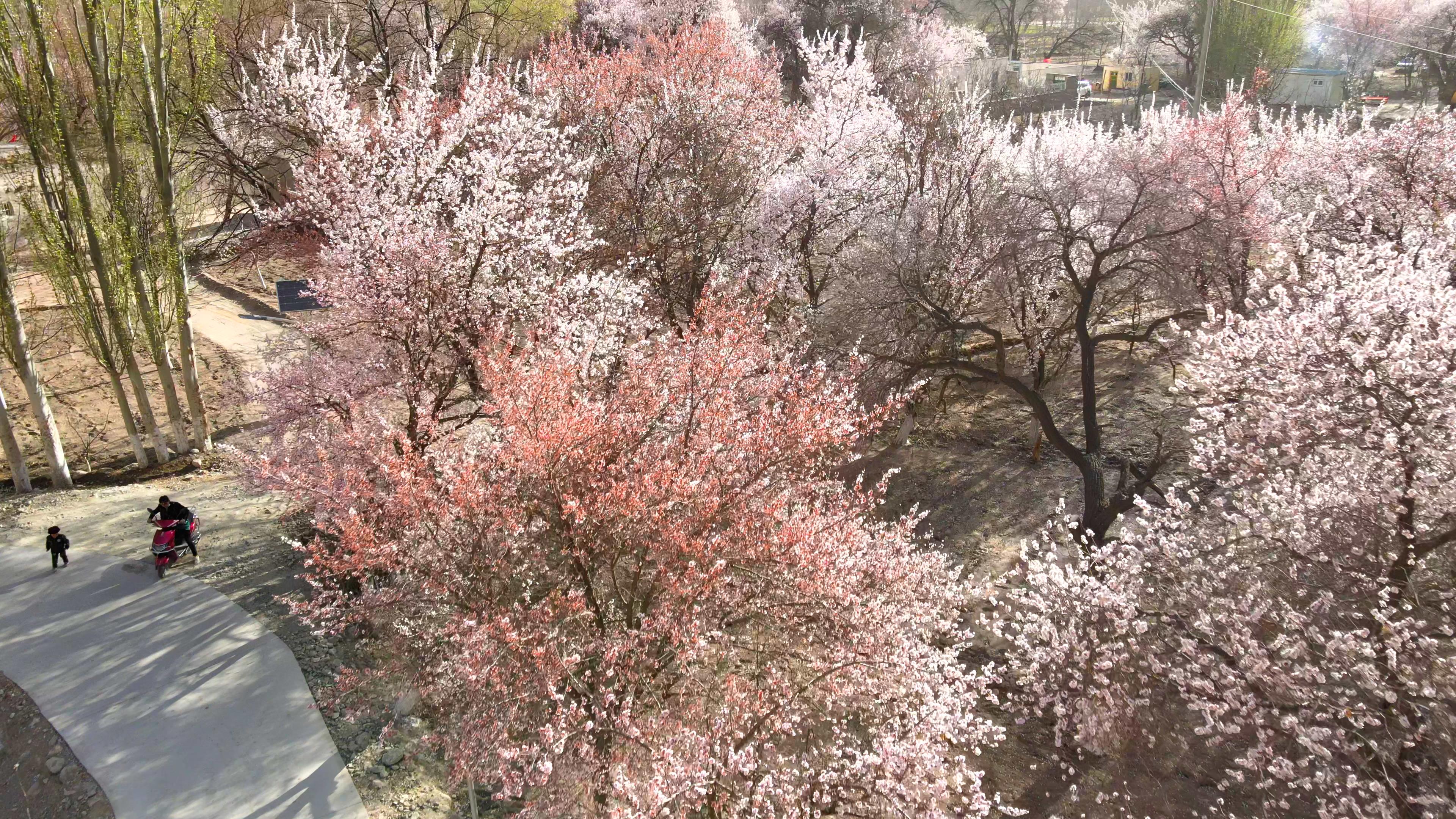 新疆旅行费用多少_新疆旅行费用多少钱