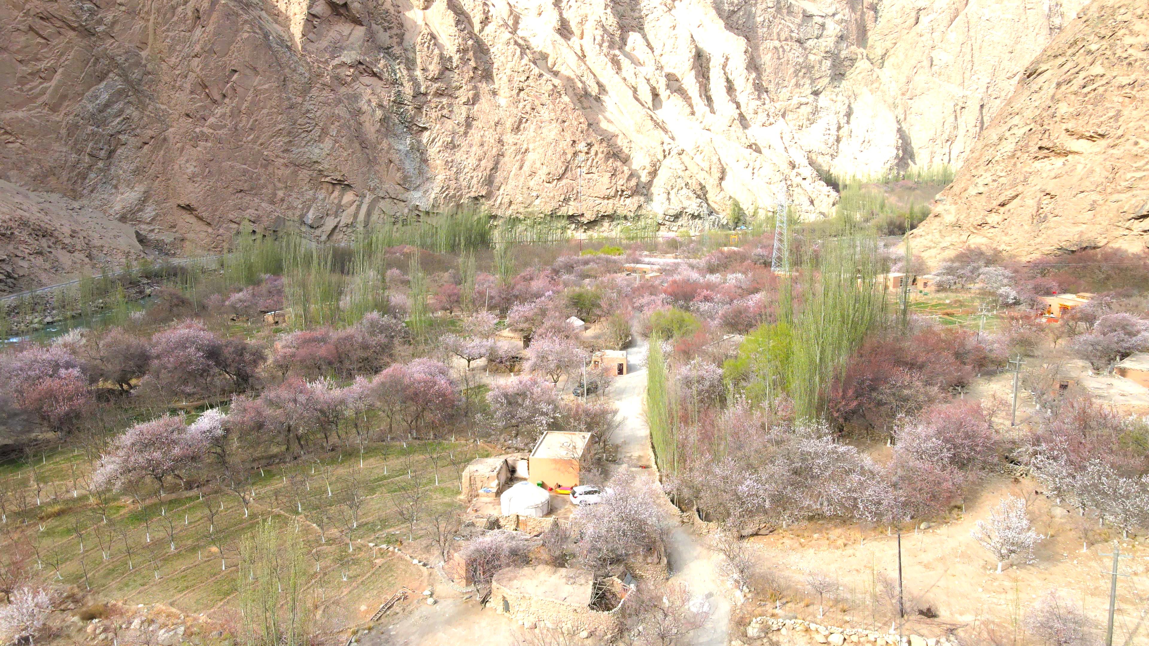 甘肃新疆旅游线路_甘肃新疆旅游线路图
