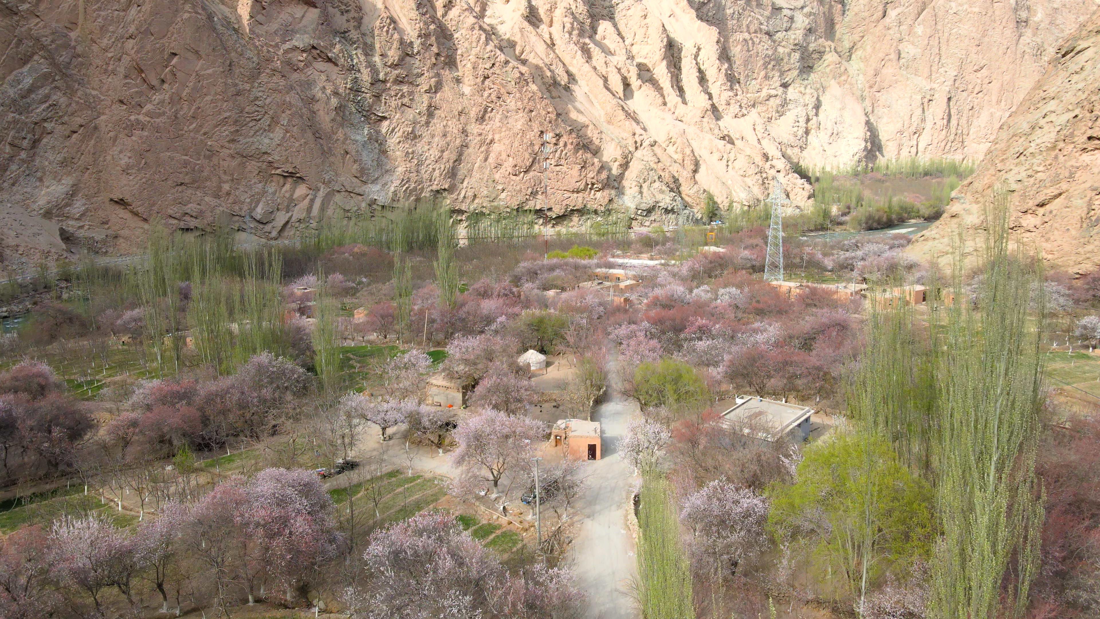 那拉提春季旅游价格_那拉提旅游门票多少钱