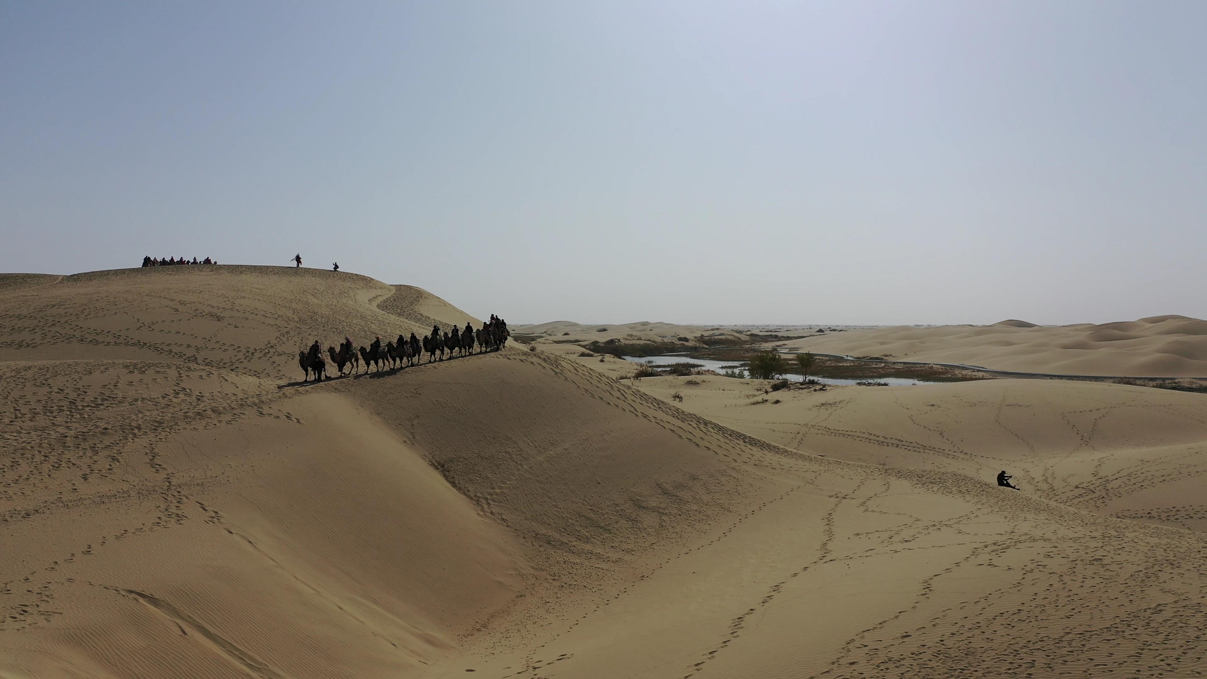 旅游新疆喀纳斯大概多少钱_旅游新疆喀纳斯大概多少钱一张票