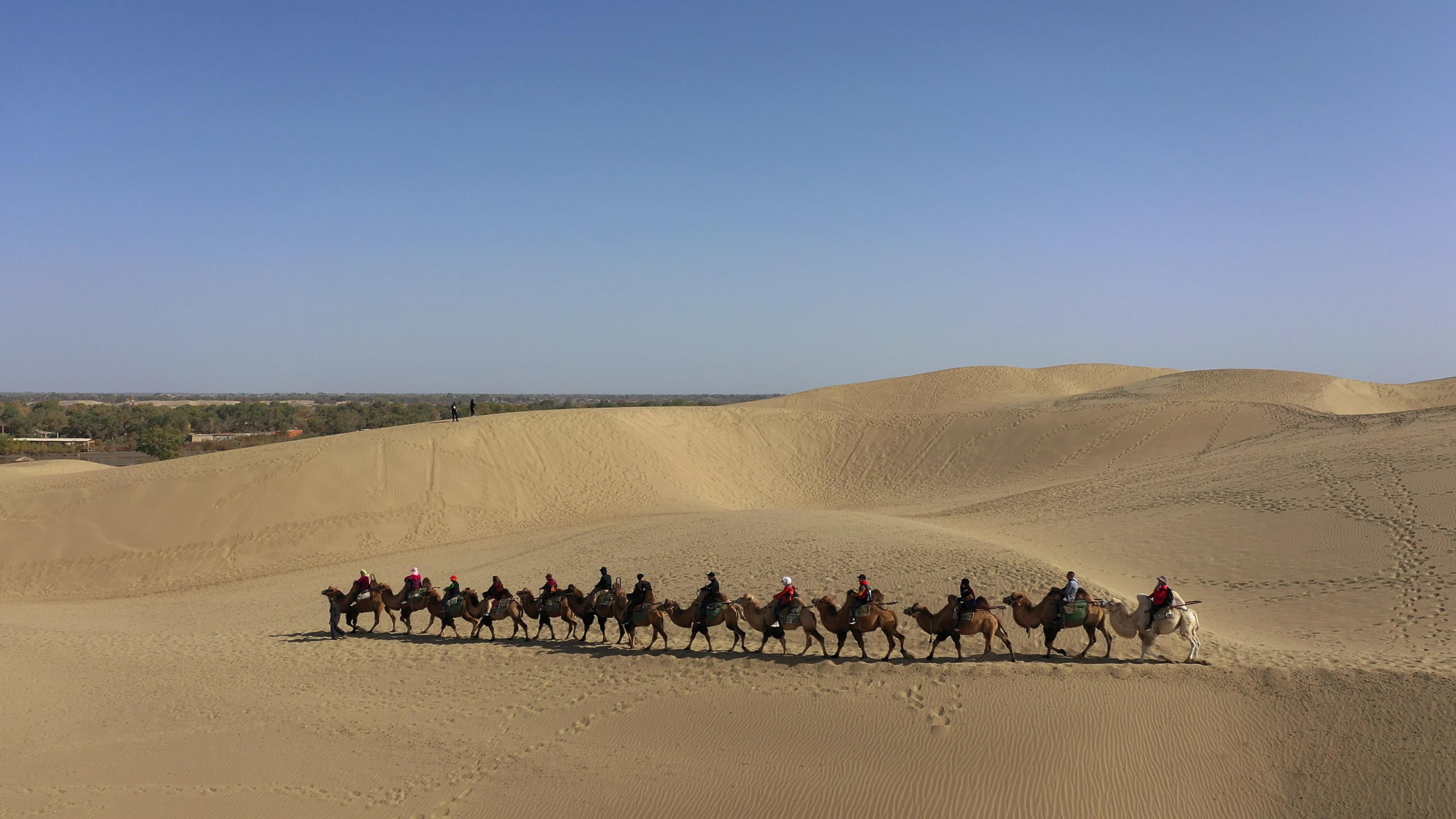 新疆游玩包车旅游_新疆游玩包车旅游攻略