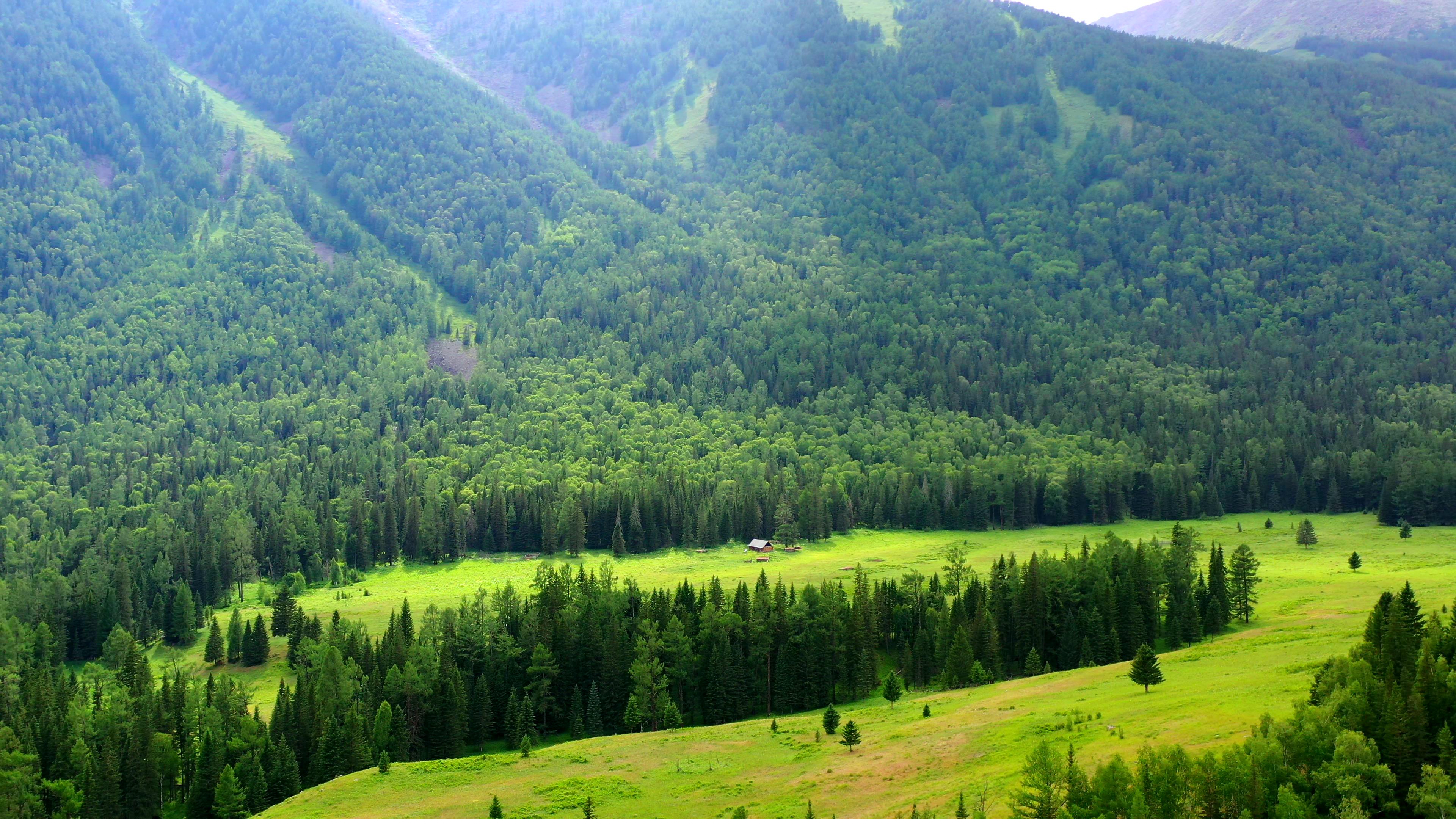 独山子去喀纳斯旅游_独山子去喀纳斯旅游攻略