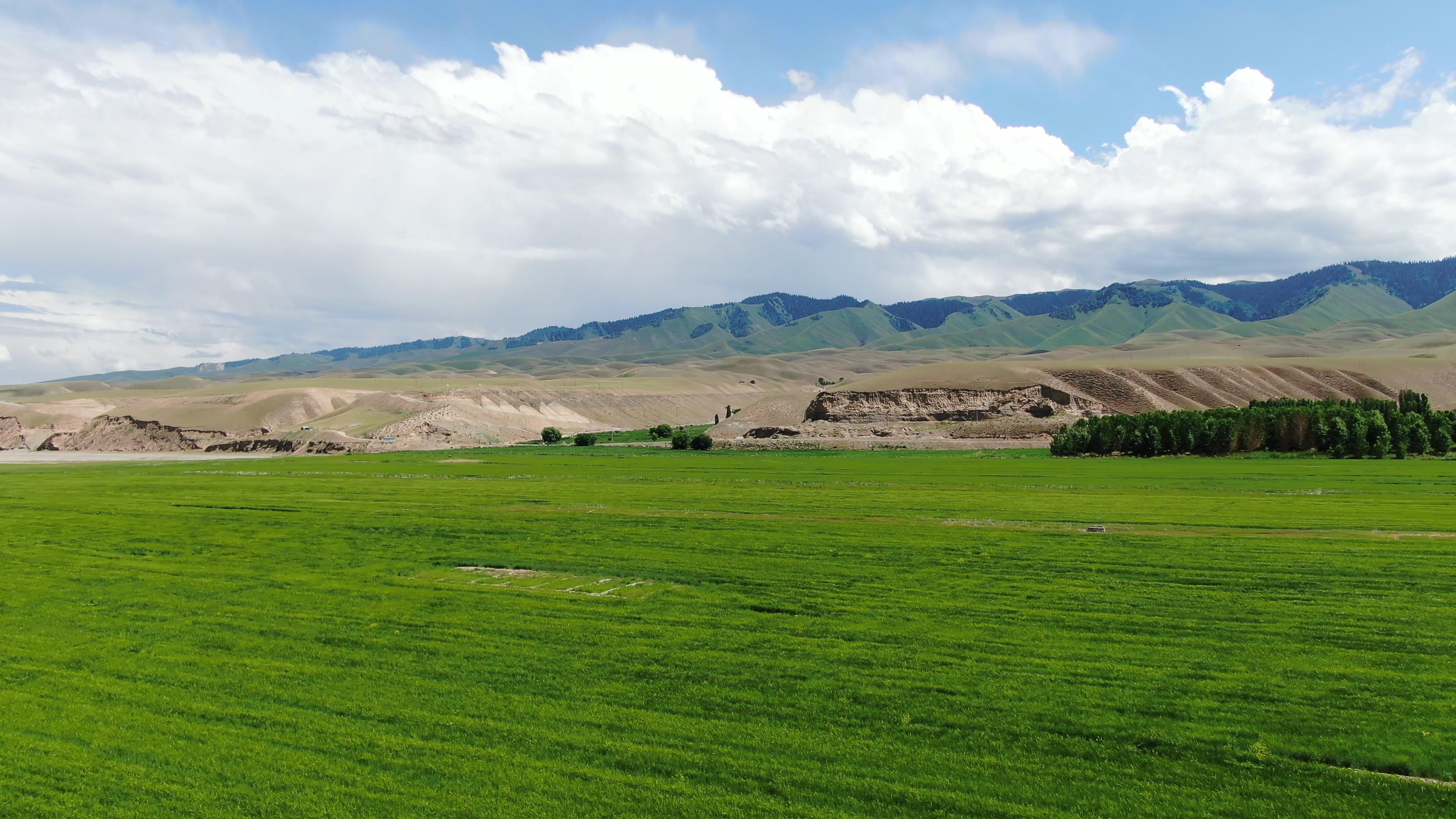 秋季去新疆北疆旅行费用_秋季新疆旅游走南还是北
