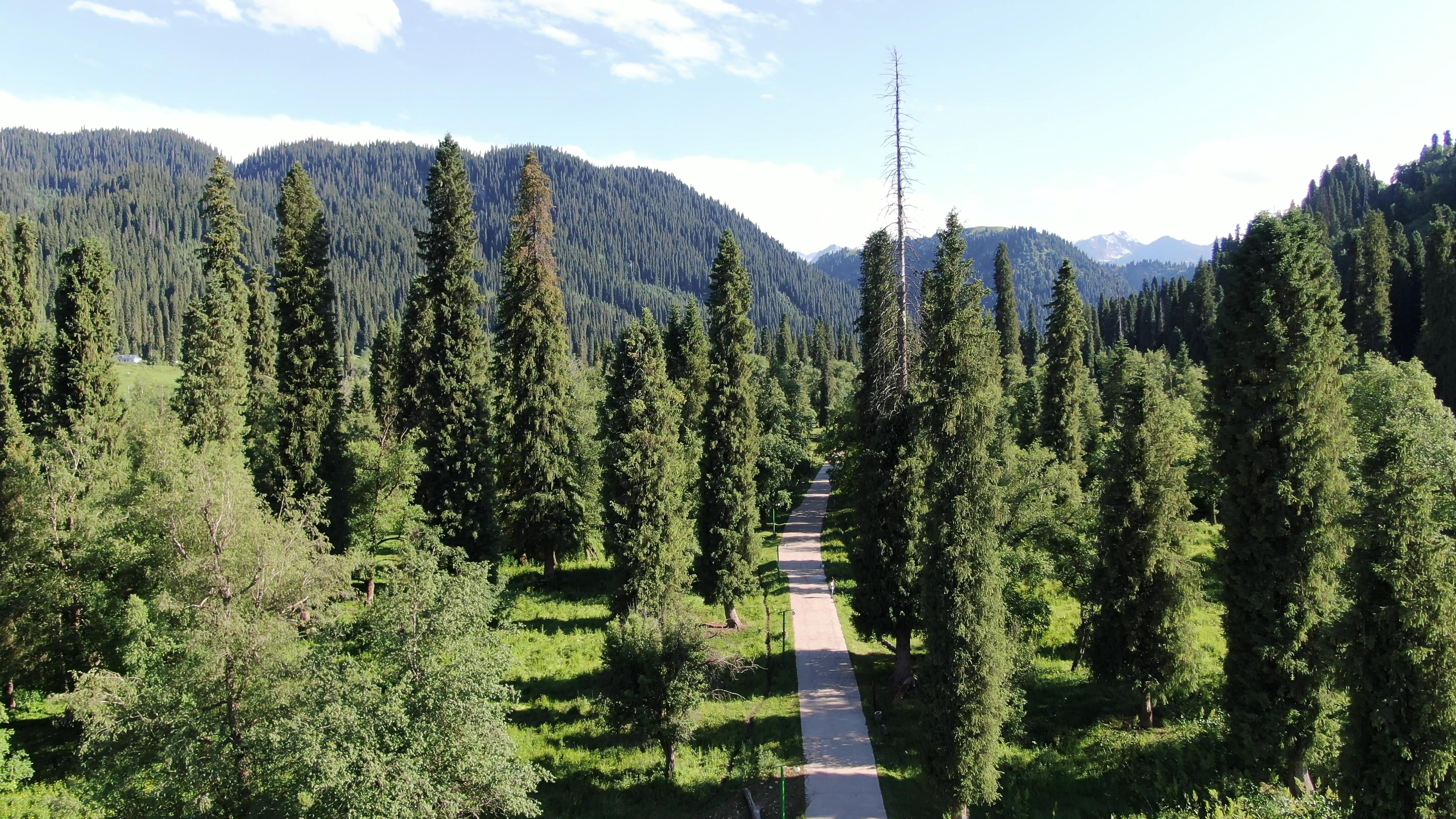 那拉提旅游优惠_那拉提旅游优惠多少