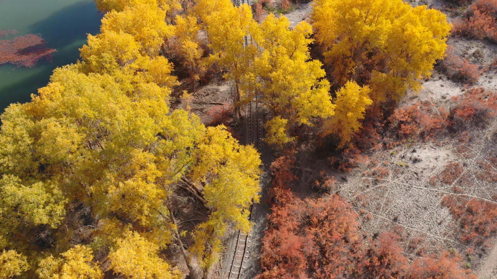 去新疆旅游在当地租车好吗_去新疆旅游在当地租车好吗现在