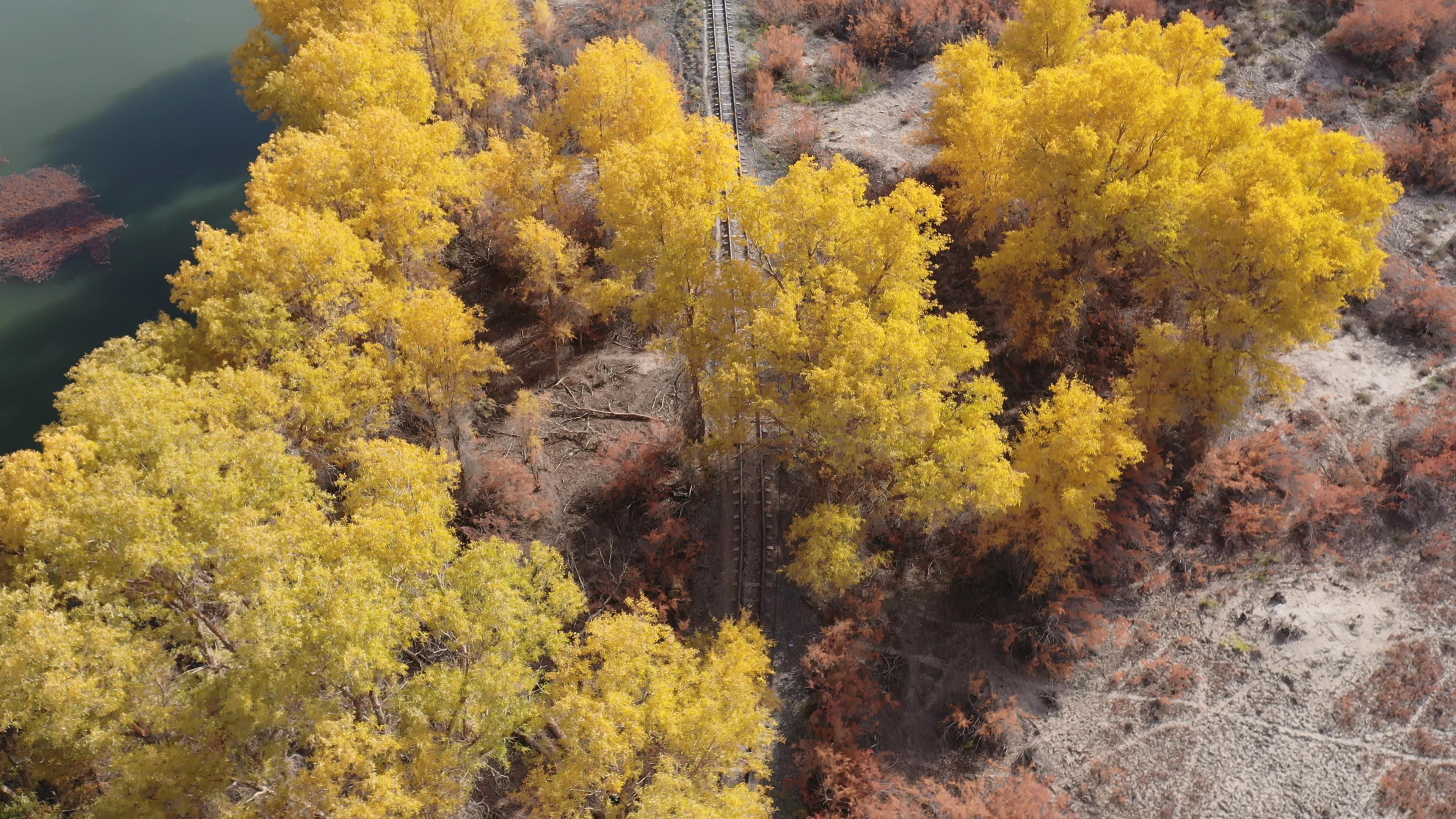 十一旅游攻略新疆_十一旅游攻略新疆最佳路线
