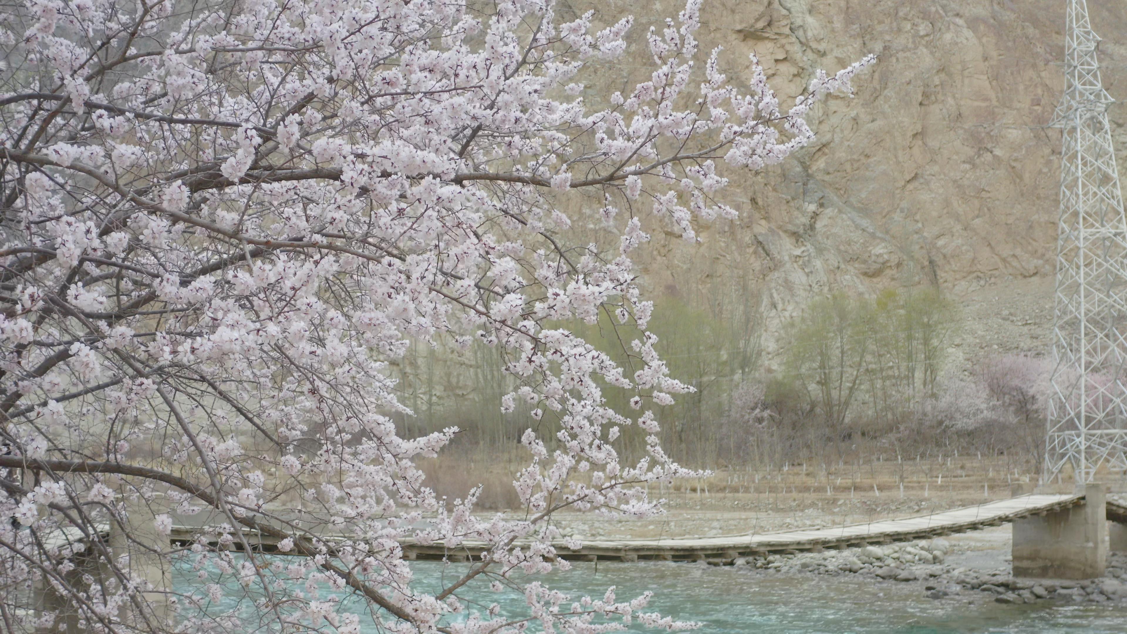 那拉提旅游4月多少钱_那拉提旅游4月多少钱一天