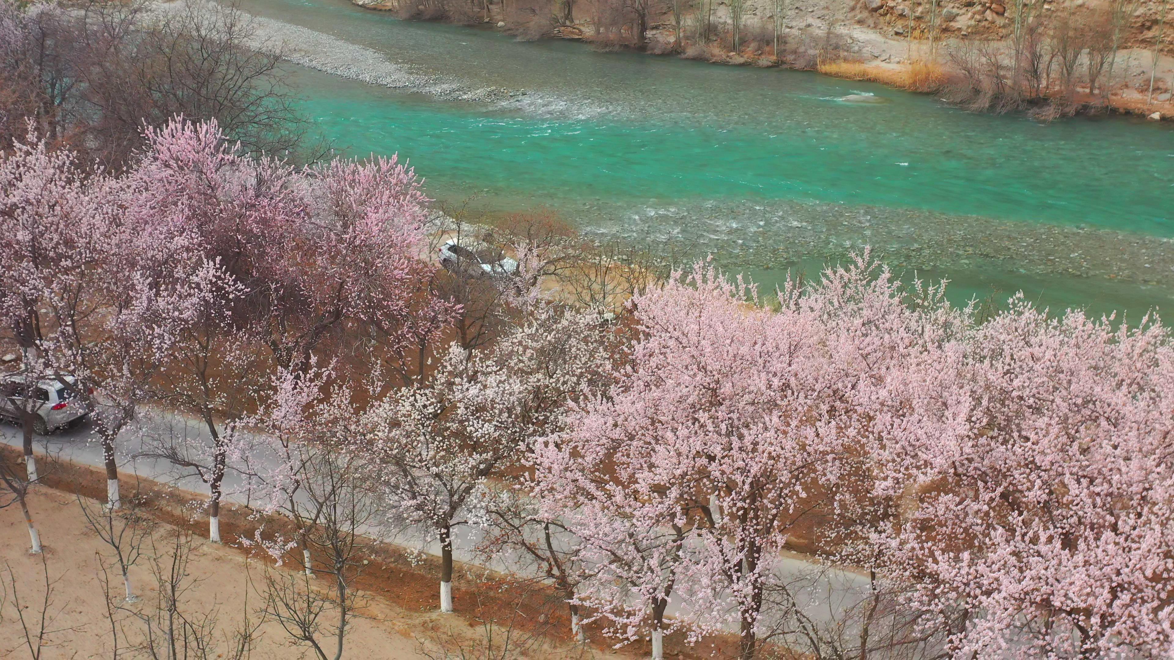 7月新疆伊犁旅游昭苏_新疆伊犁昭苏风景