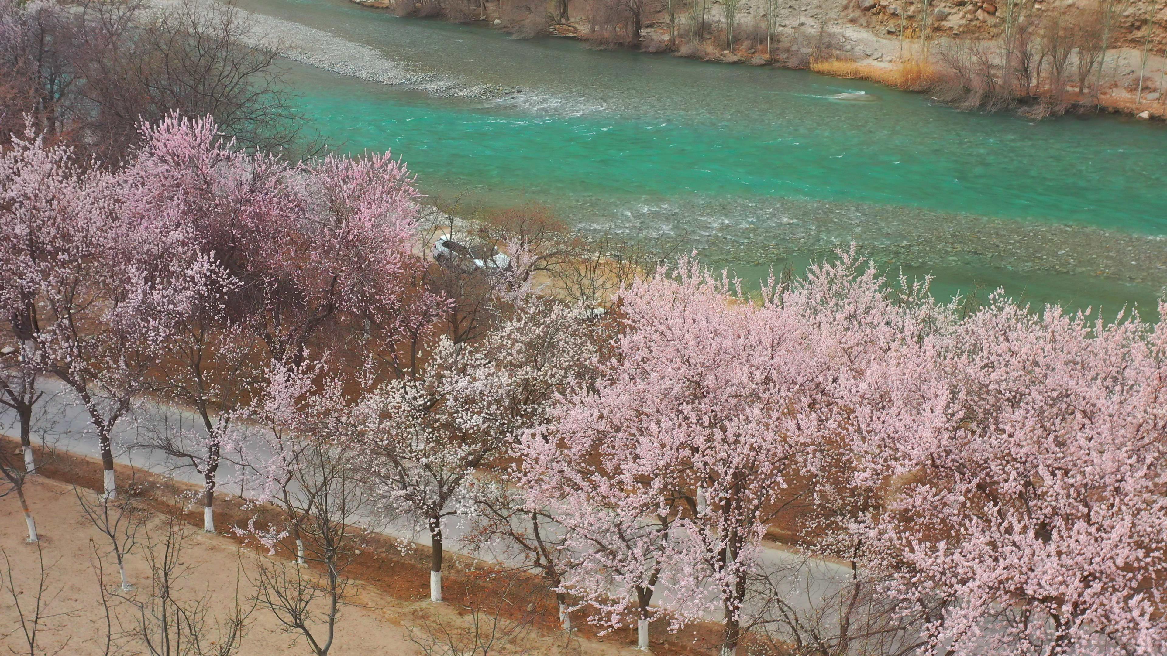 青岛去新疆旅游多少钱_青岛去新疆旅游多少钱一天