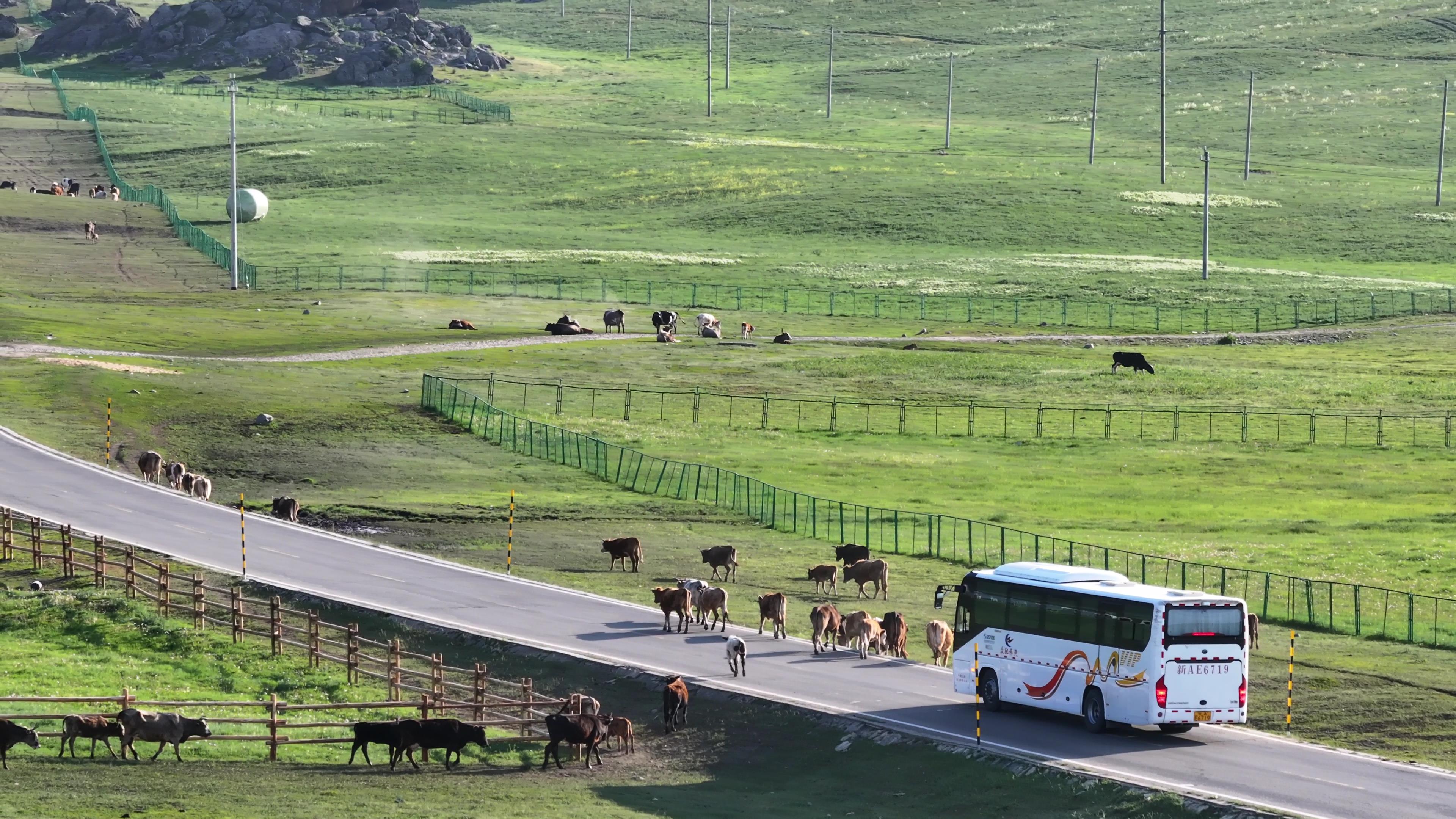 新疆南疆六月旅游多少钱_新疆南部6月份旅游