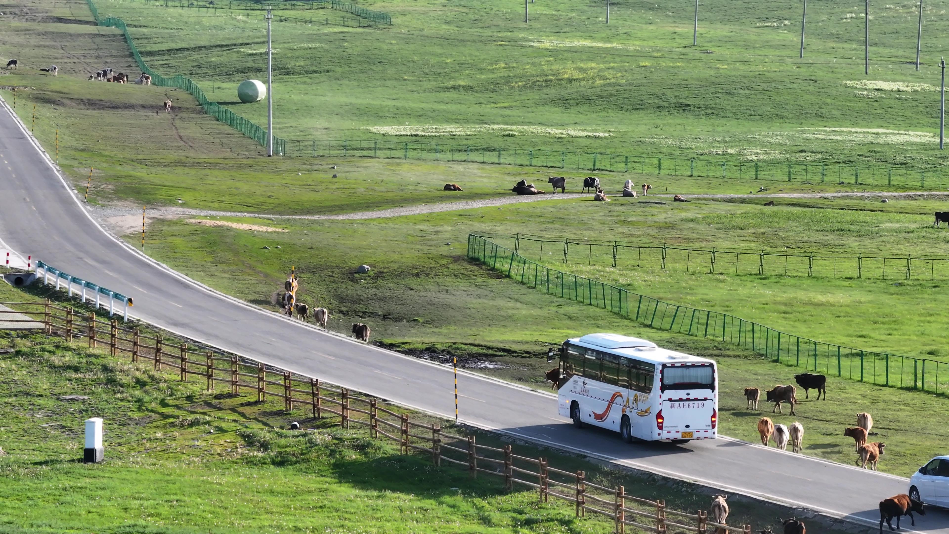 新疆旅游月价格多少_新疆旅游月价格多少钱一天