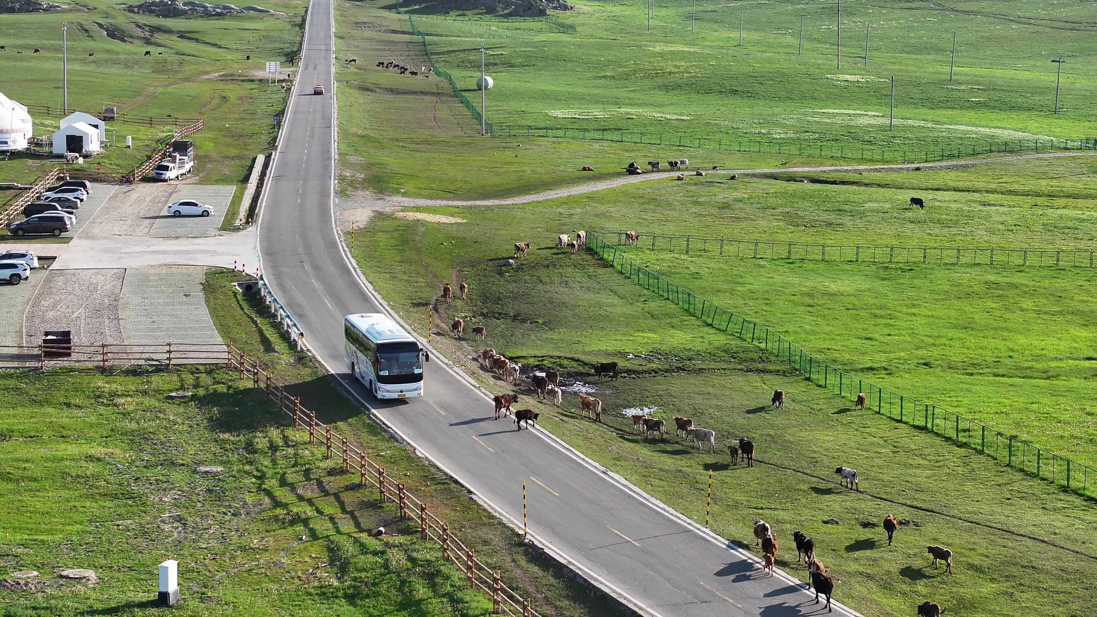 七月份新疆跟团旅游_七月份新疆跟团旅游多少钱