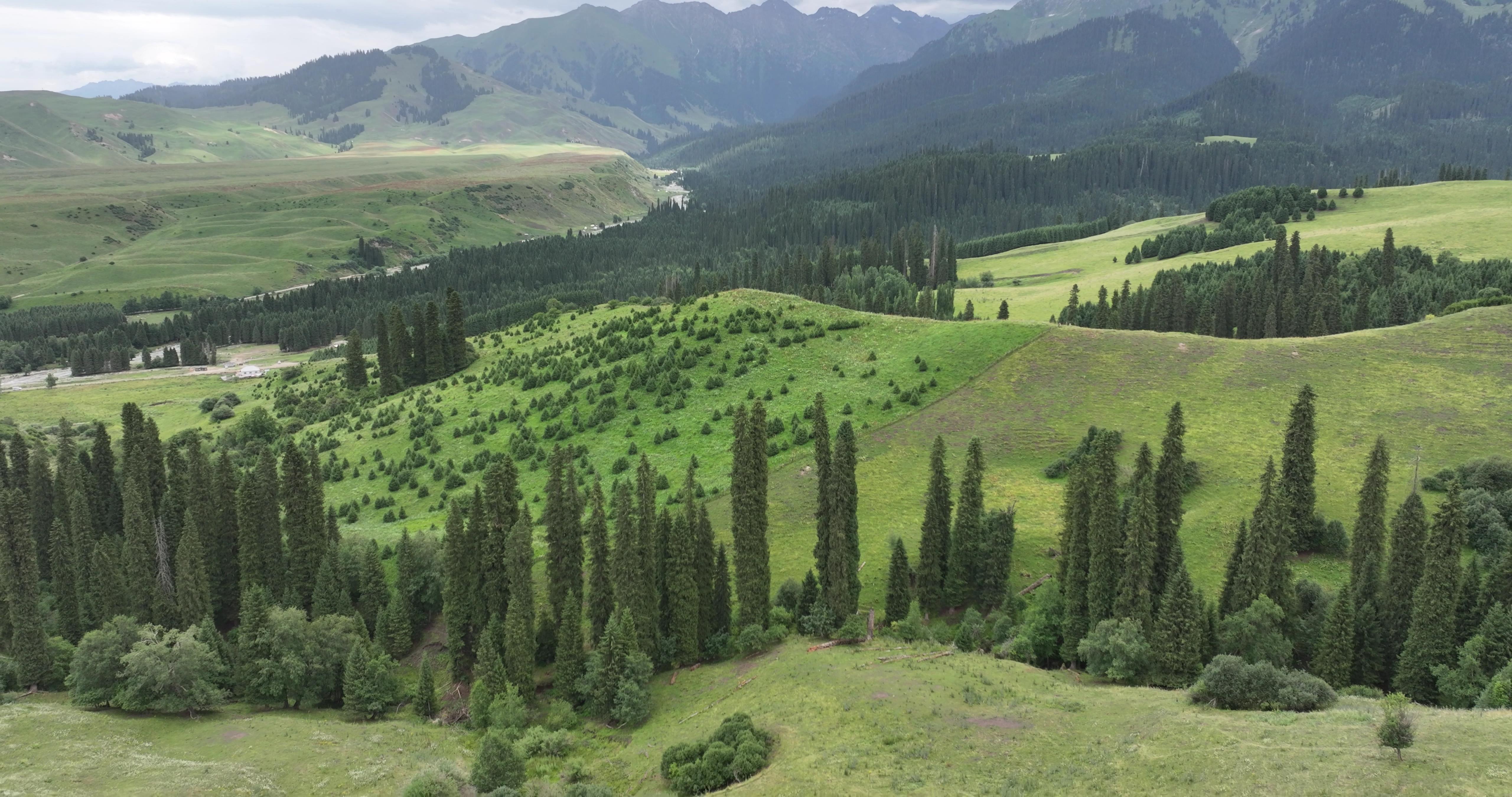 线路那拉提草原旅游_那拉提草原游览路线