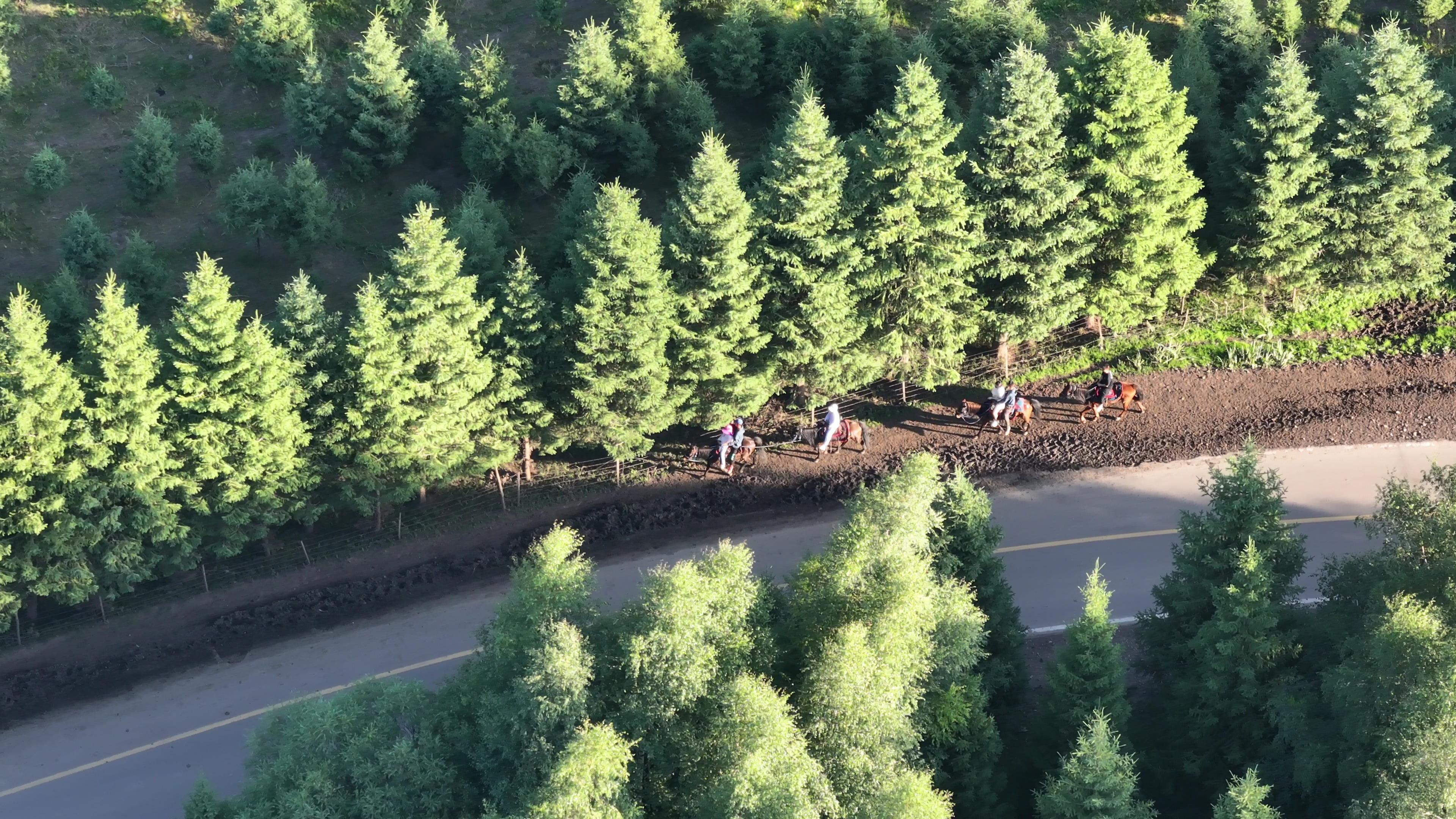 线路那拉提草原旅游_那拉提草原游览路线