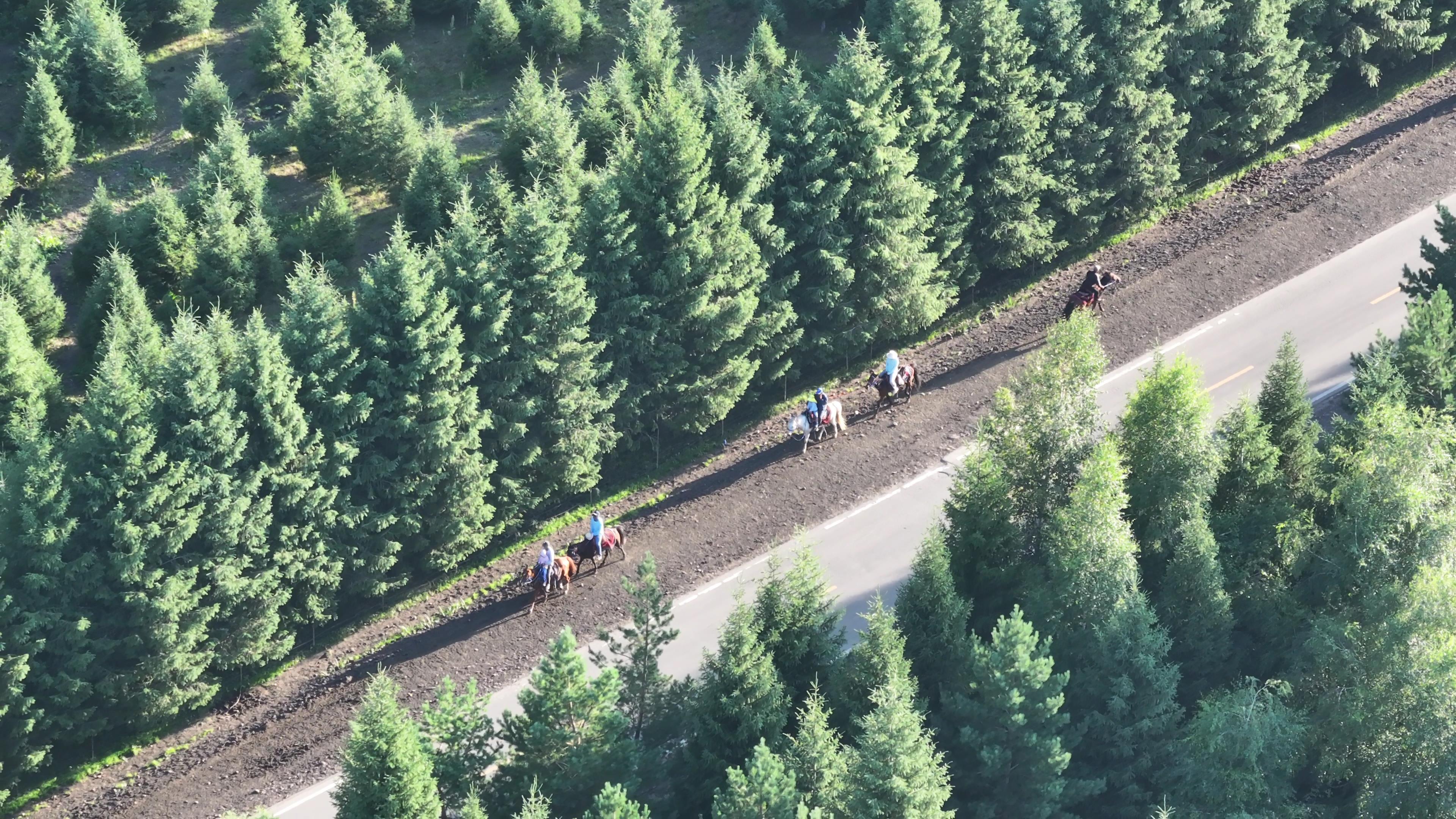 旅行团喀什费用_旅行团喀什费用多少