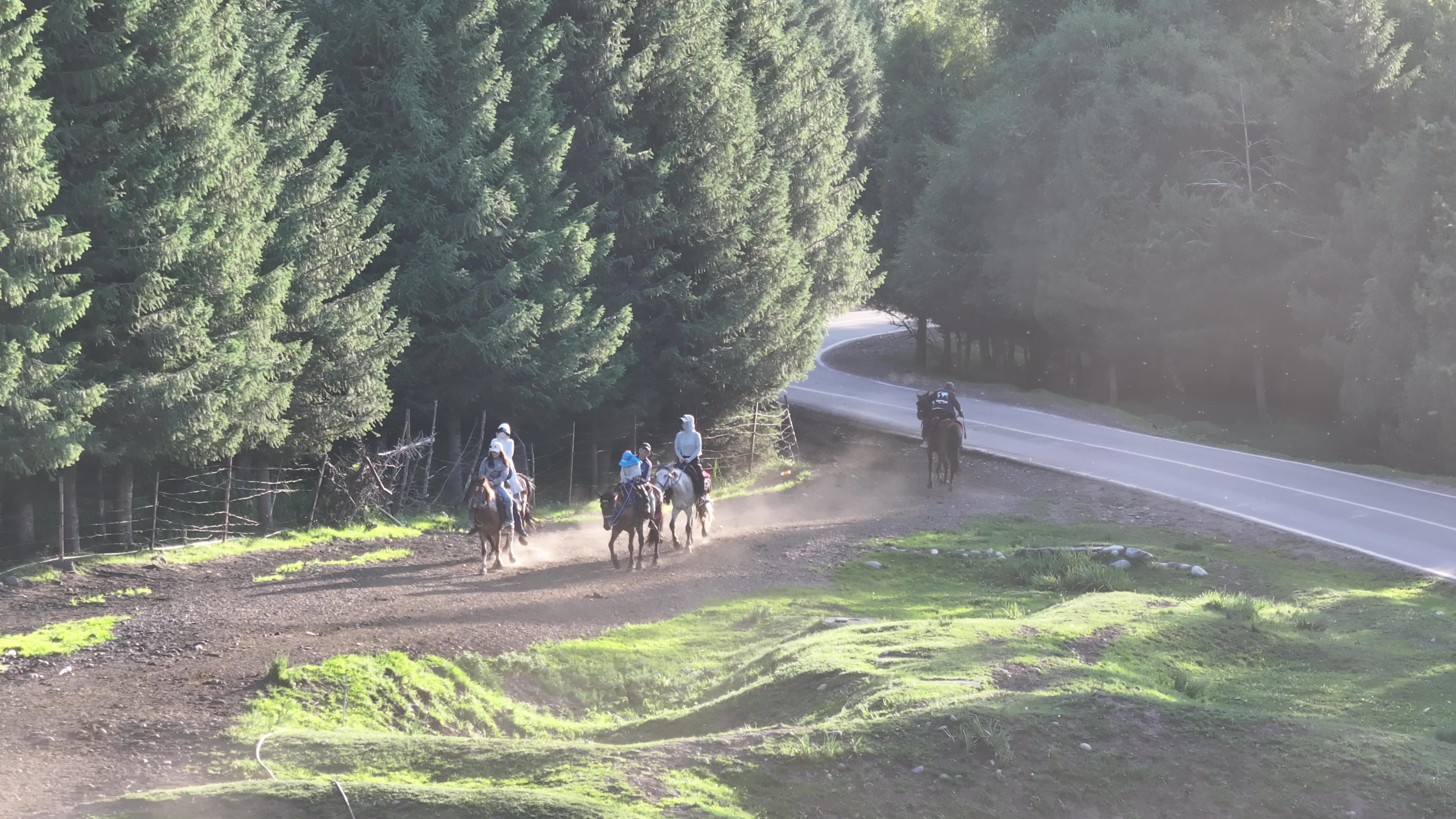 那拉提草原旅游图_那拉提草原旅游图片