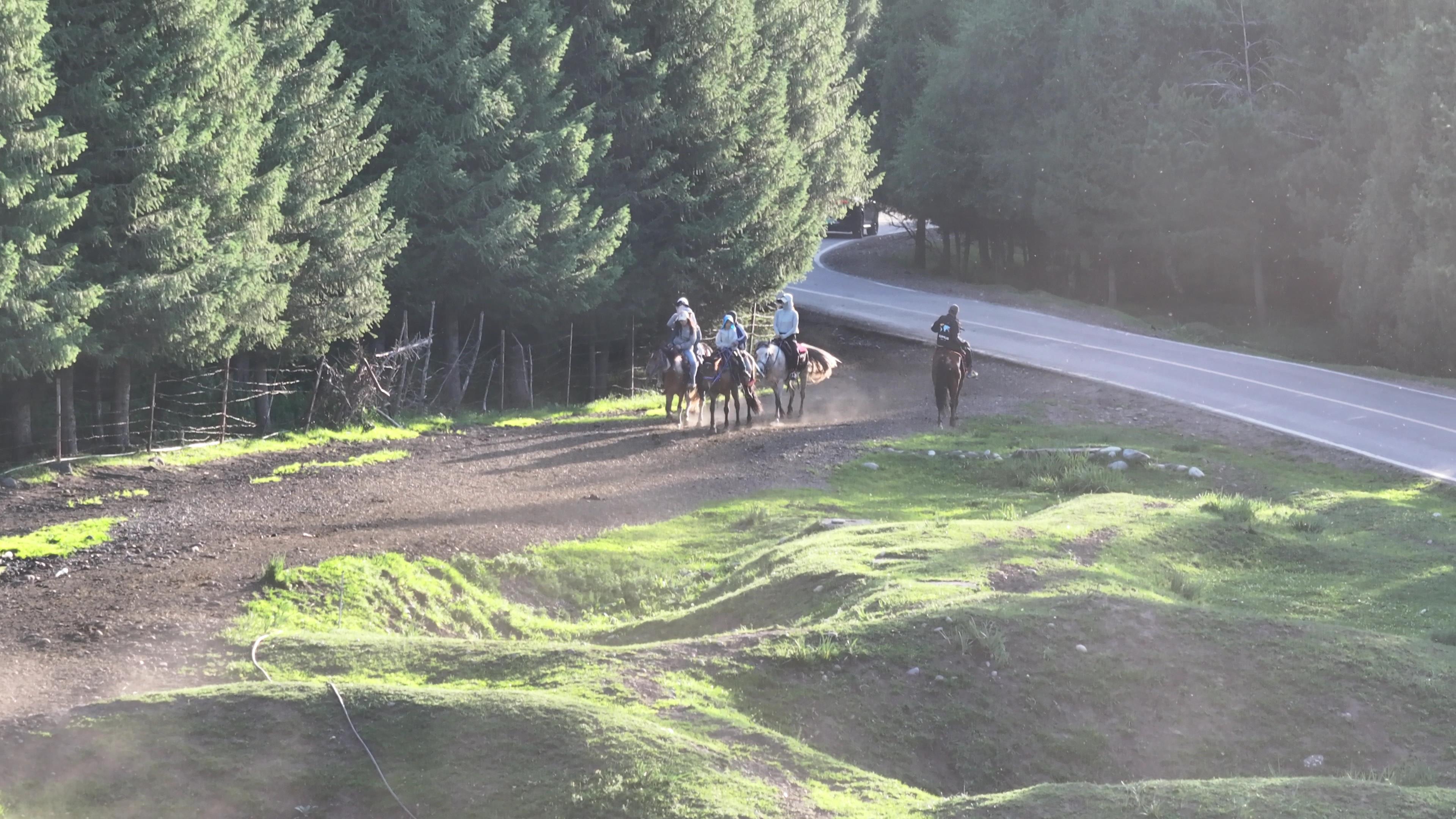 新东方快车旅游专列在哪里_新东方快车旅游专列有几列
