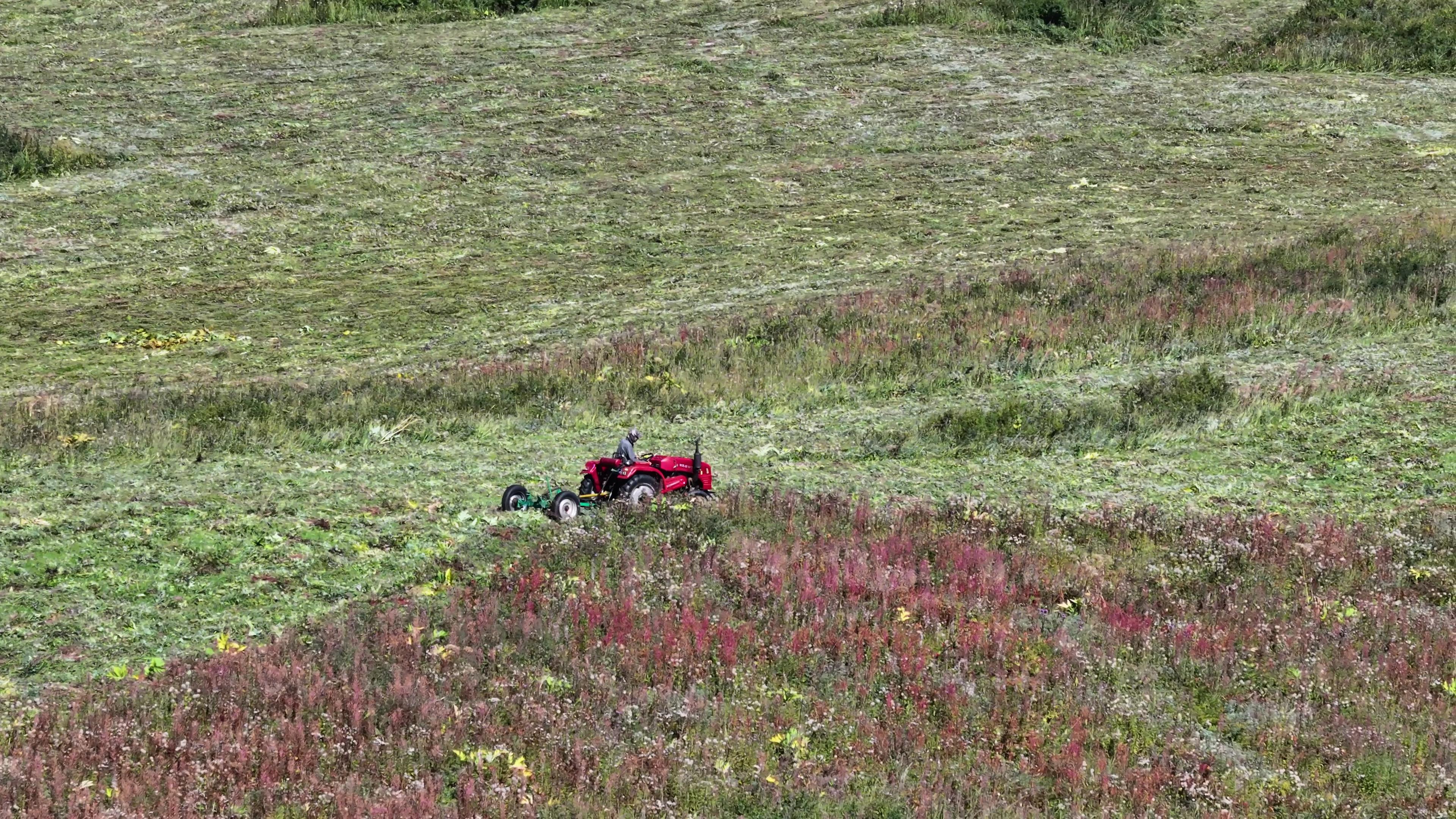 那拉提游路线_那拉提游览路线
