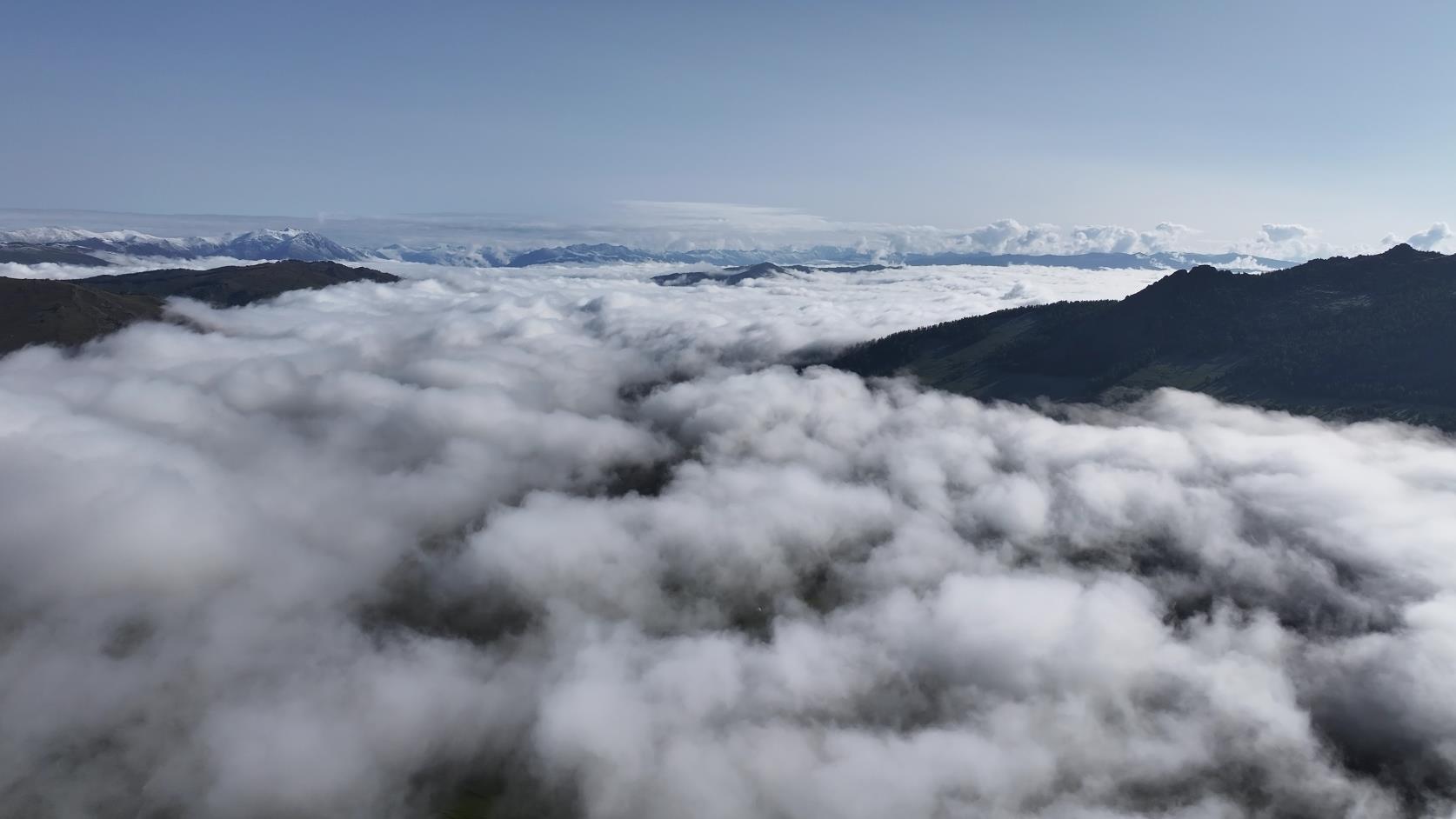新疆租车旅游一天多少钱_新疆租车旅游一天多少钱啊