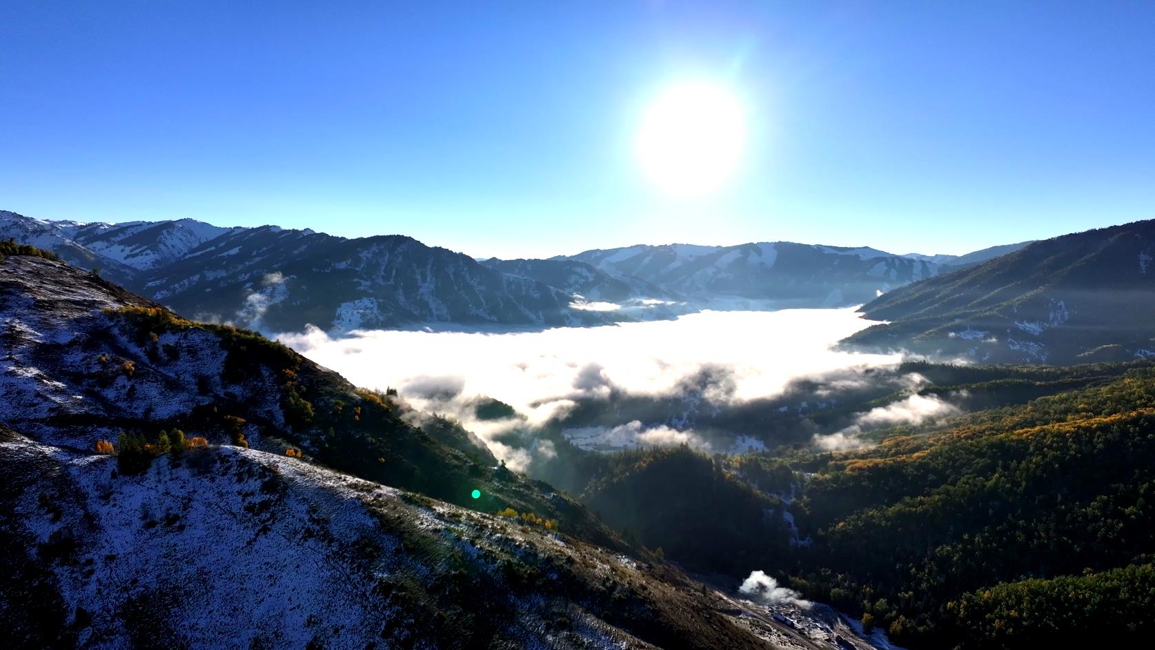 新疆旅游专列费用_新疆旅游专列费用多少