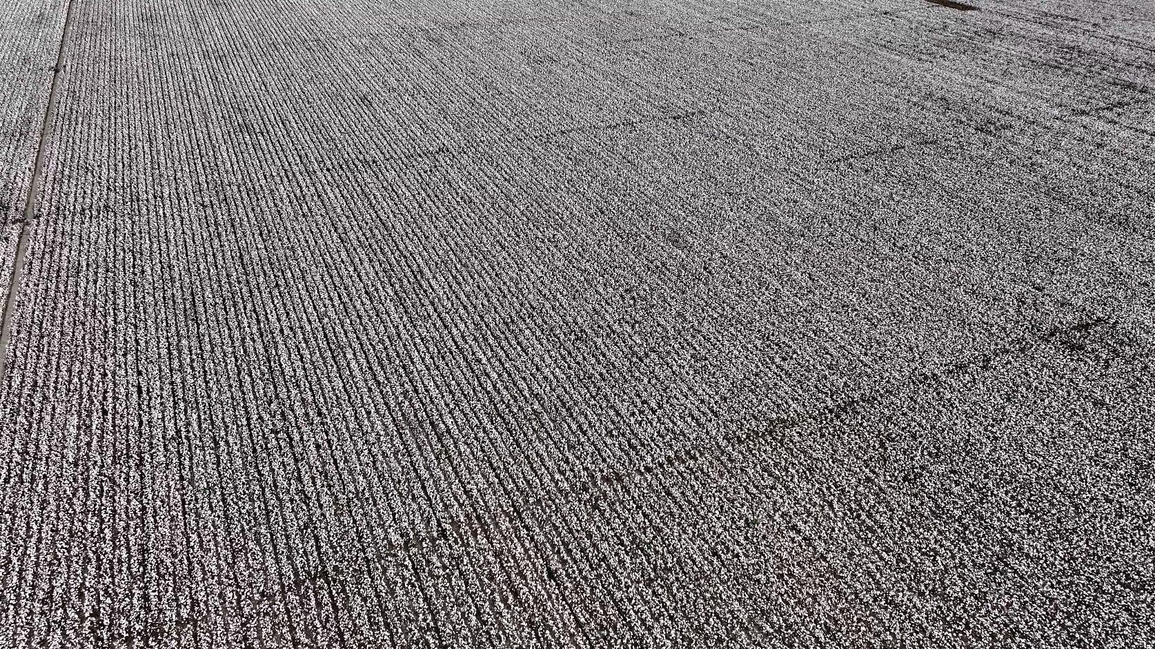 赛里木湖旅游去哪玩_赛里木湖游玩项目