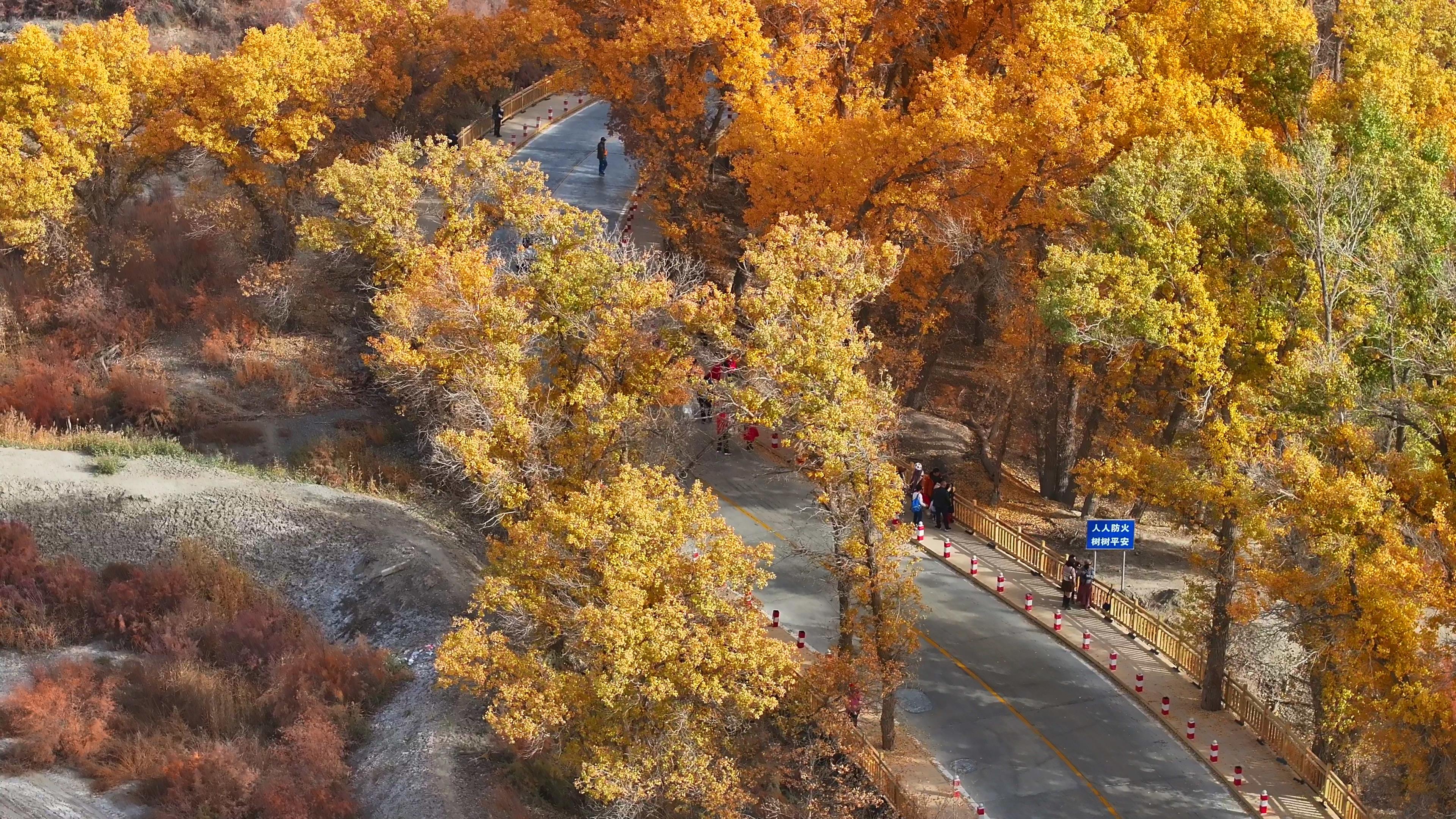 新疆环线旅游攻略_新疆环线旅游攻略图