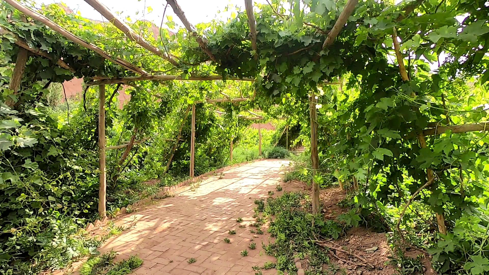 欢迎你来伊犁旅游_欢迎你来伊犁旅游英语