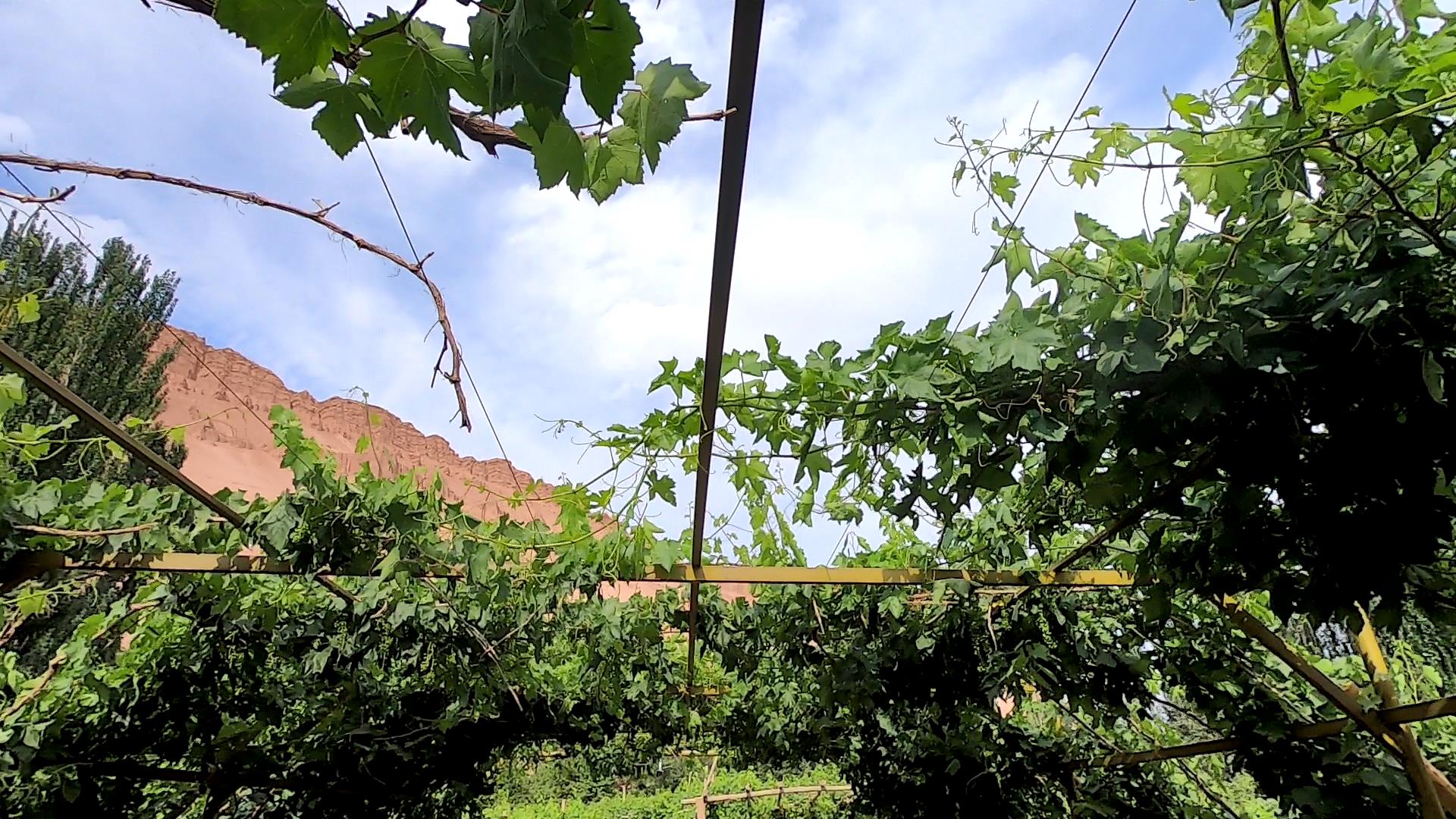 那拉提旅行夏季多少钱_那拉提旅行夏季多少钱一天