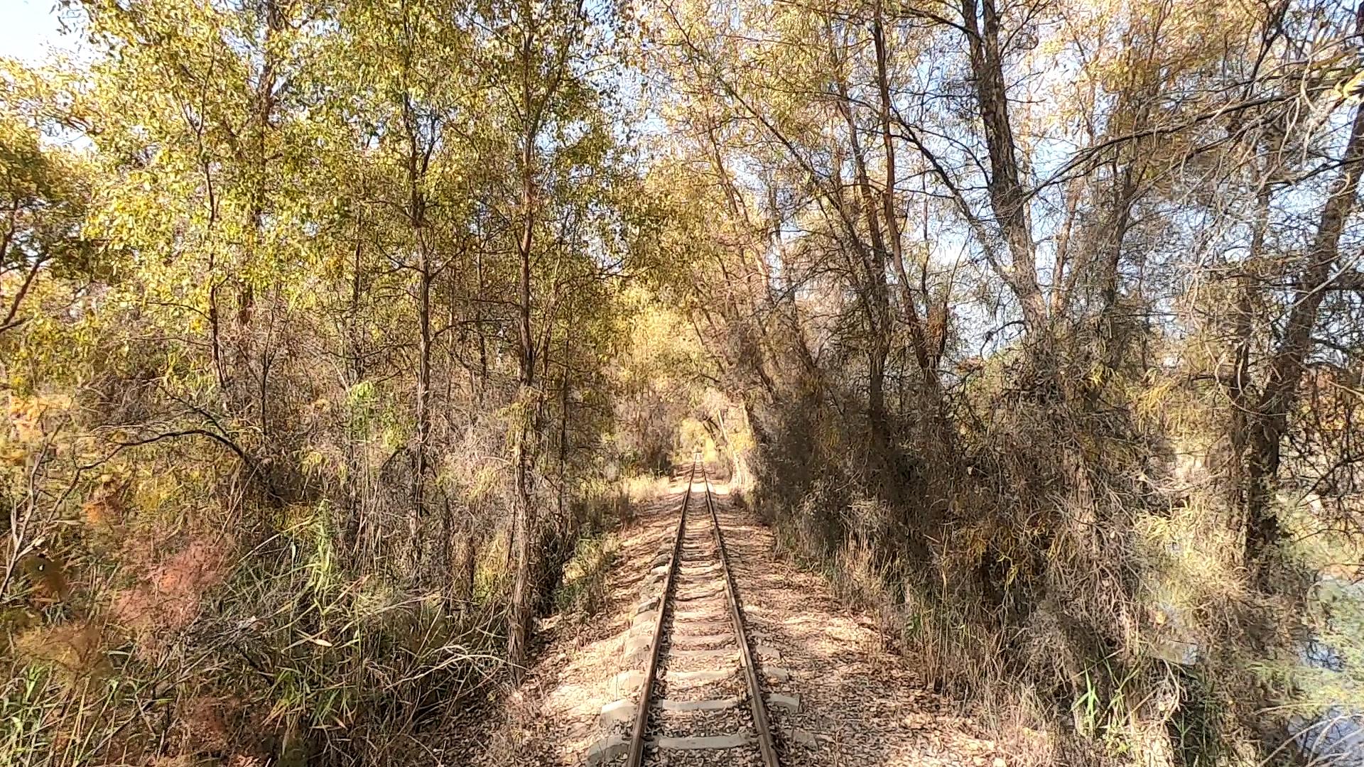 那拉提草原有几条旅游线路_那拉提草原有几条旅游线路啊