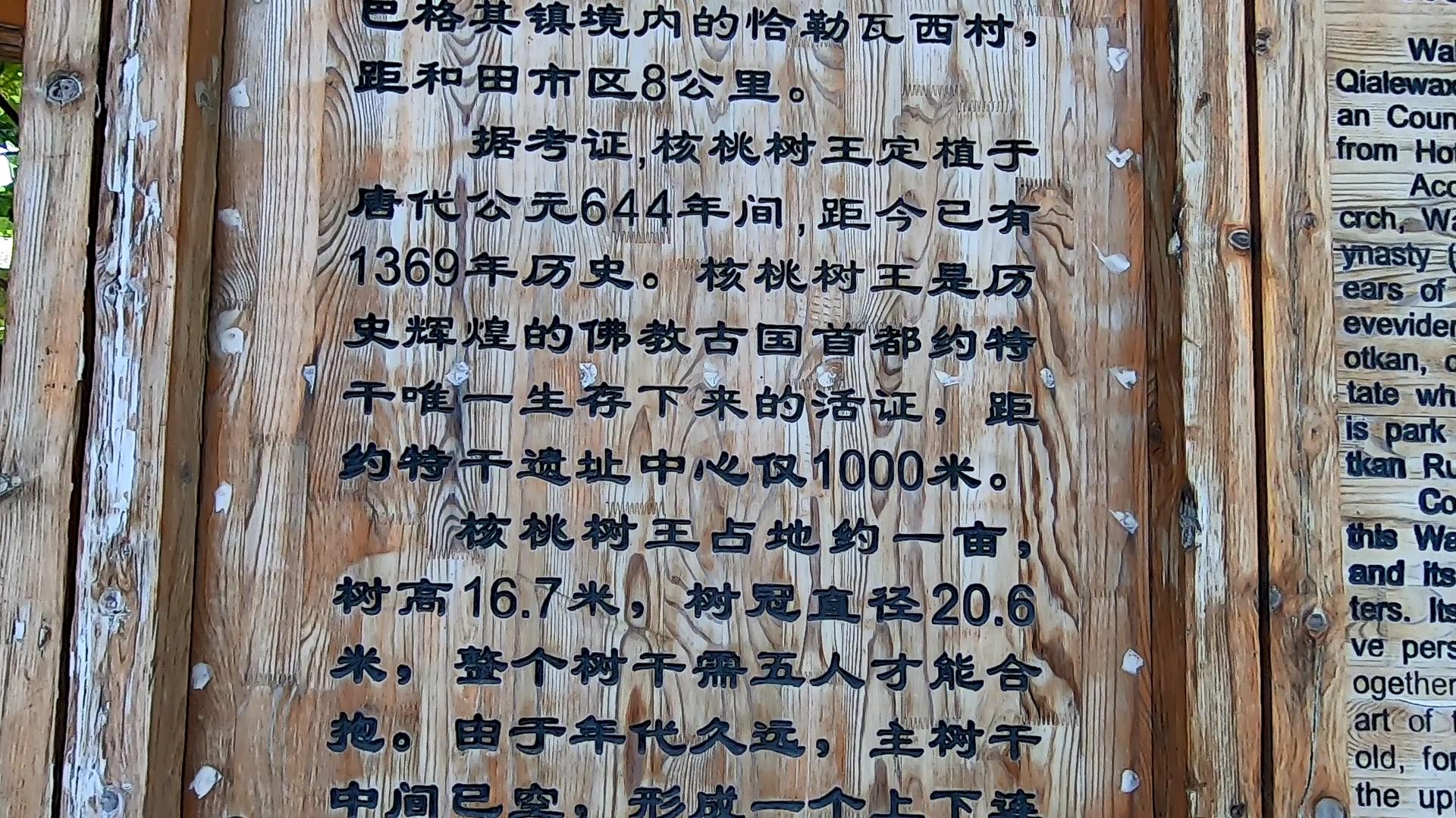 新疆喀纳斯湖旅游攻_新疆喀纳斯湖旅游攻略
