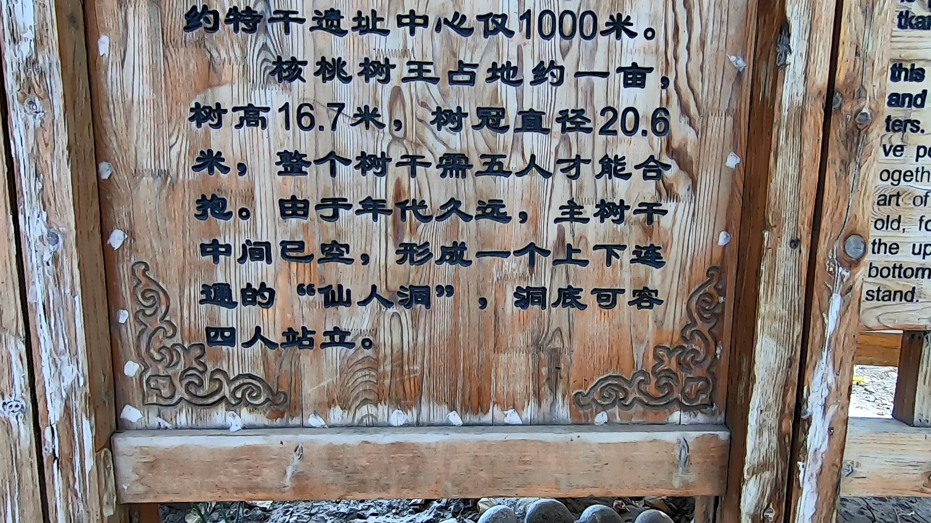 八天新疆旅游攻略_八天新疆旅游攻略大全