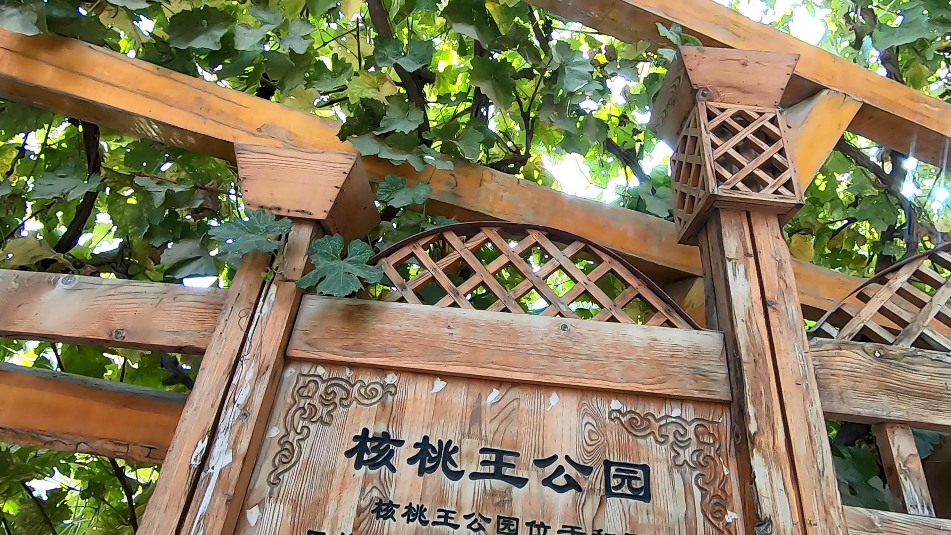 赛里木湖知名旅游地_赛里木湖景点