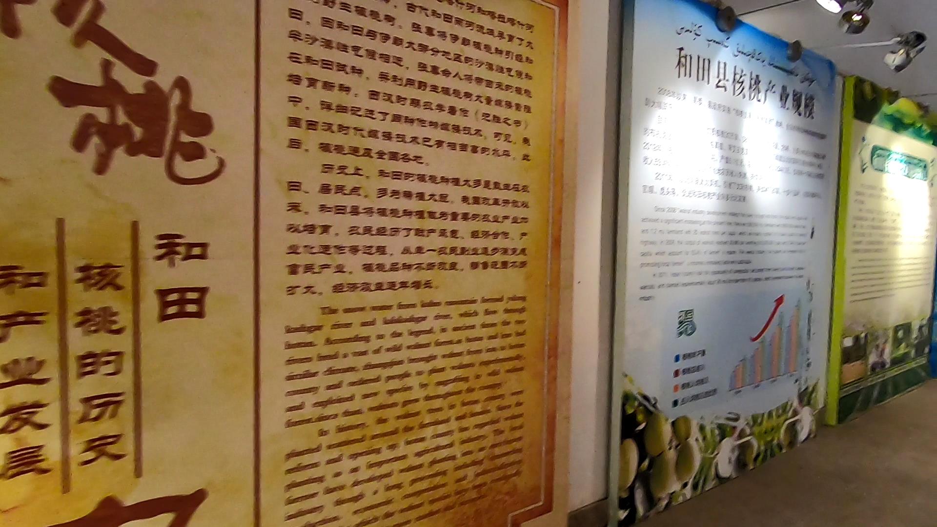 新疆旅游的费用是多少钱_新疆旅游的费用是多少钱啊