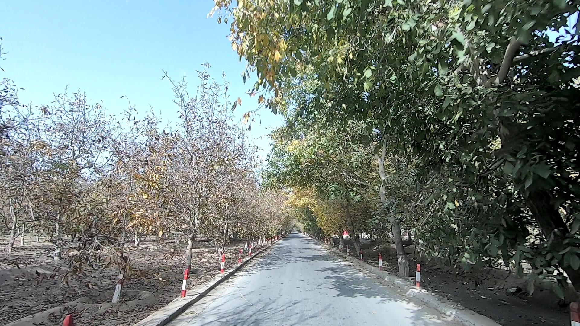 去那拉提旅游随团报价_去那拉提旅游随团报价多少