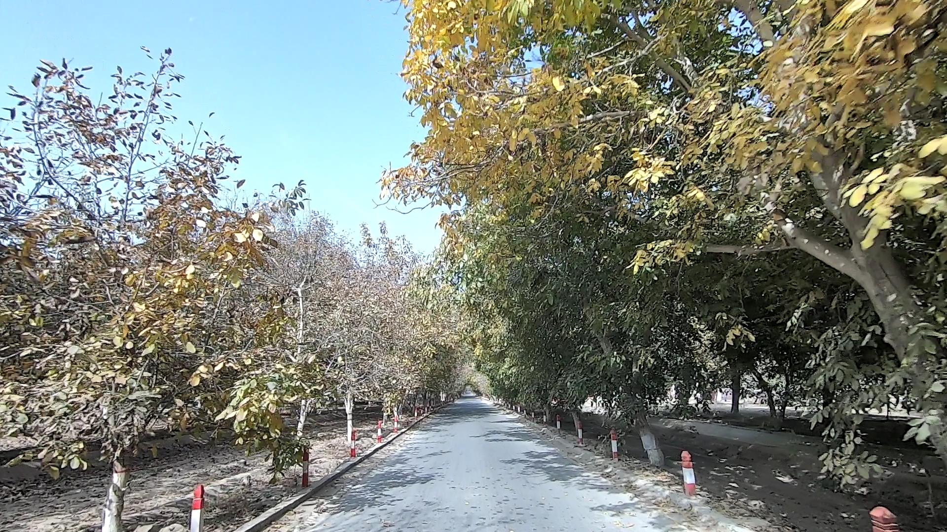 现在可以到喀什旅游吗_现在可以到喀什旅游吗最近