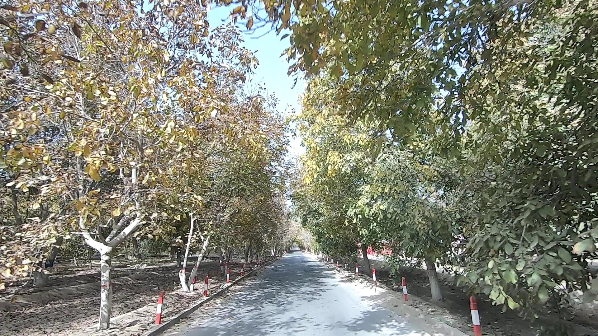 新疆端午旅游_新疆端午旅游团