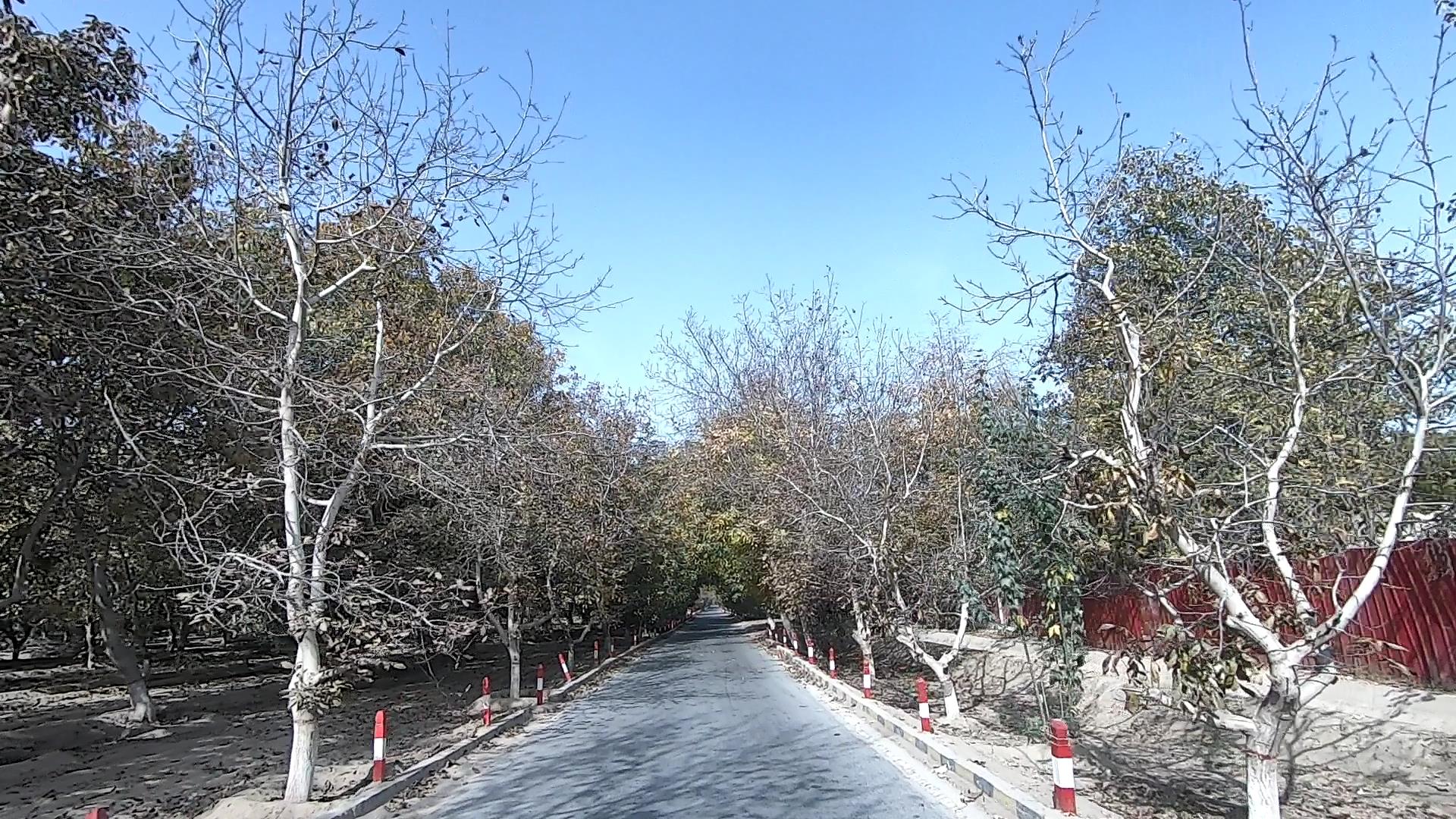 伊犁四日游线路_伊犁四日游线路主题大全
